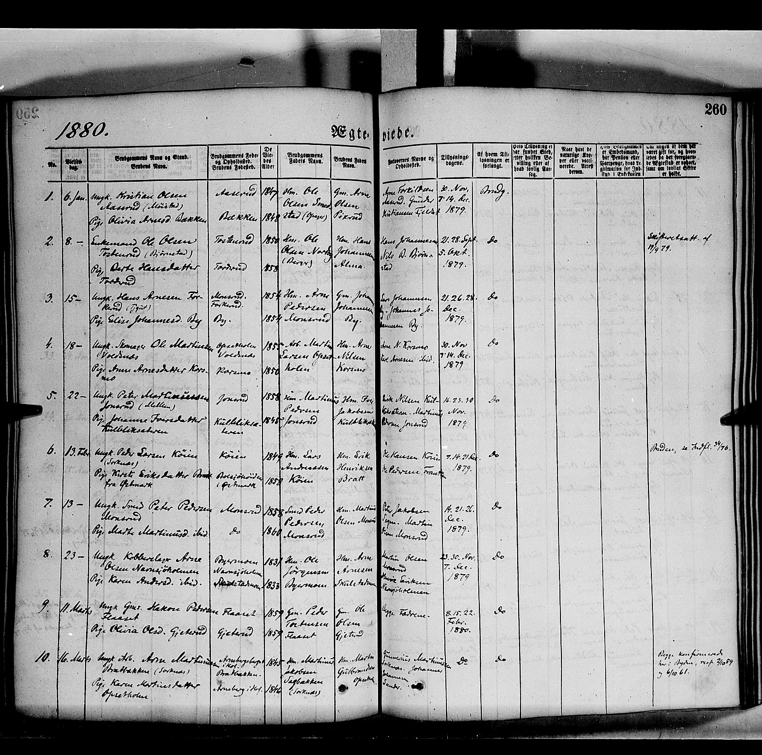 Grue prestekontor, SAH/PREST-036/H/Ha/Haa/L0011: Parish register (official) no. 11, 1873-1880, p. 260