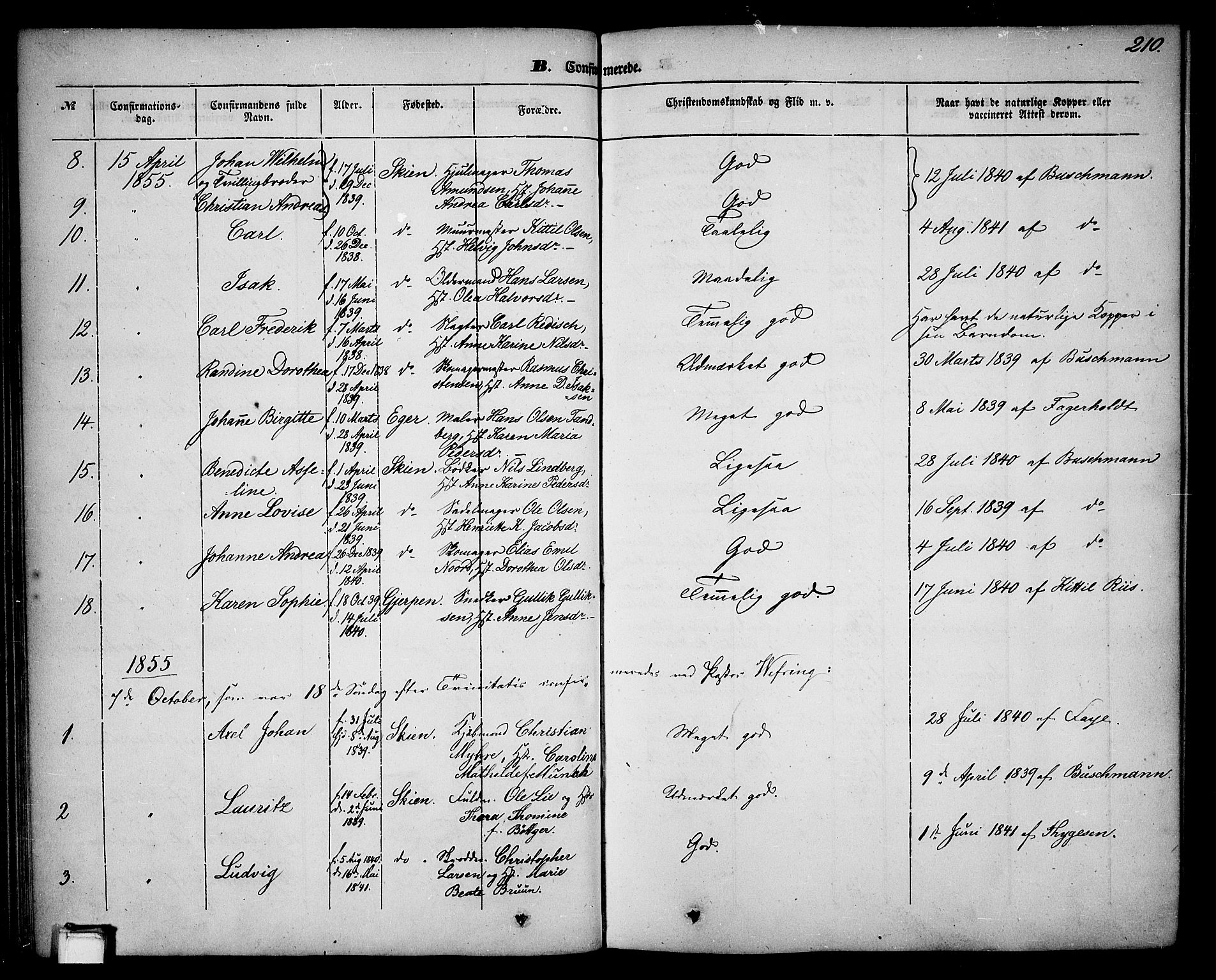 Skien kirkebøker, SAKO/A-302/G/Ga/L0004: Parish register (copy) no. 4, 1843-1867, p. 210