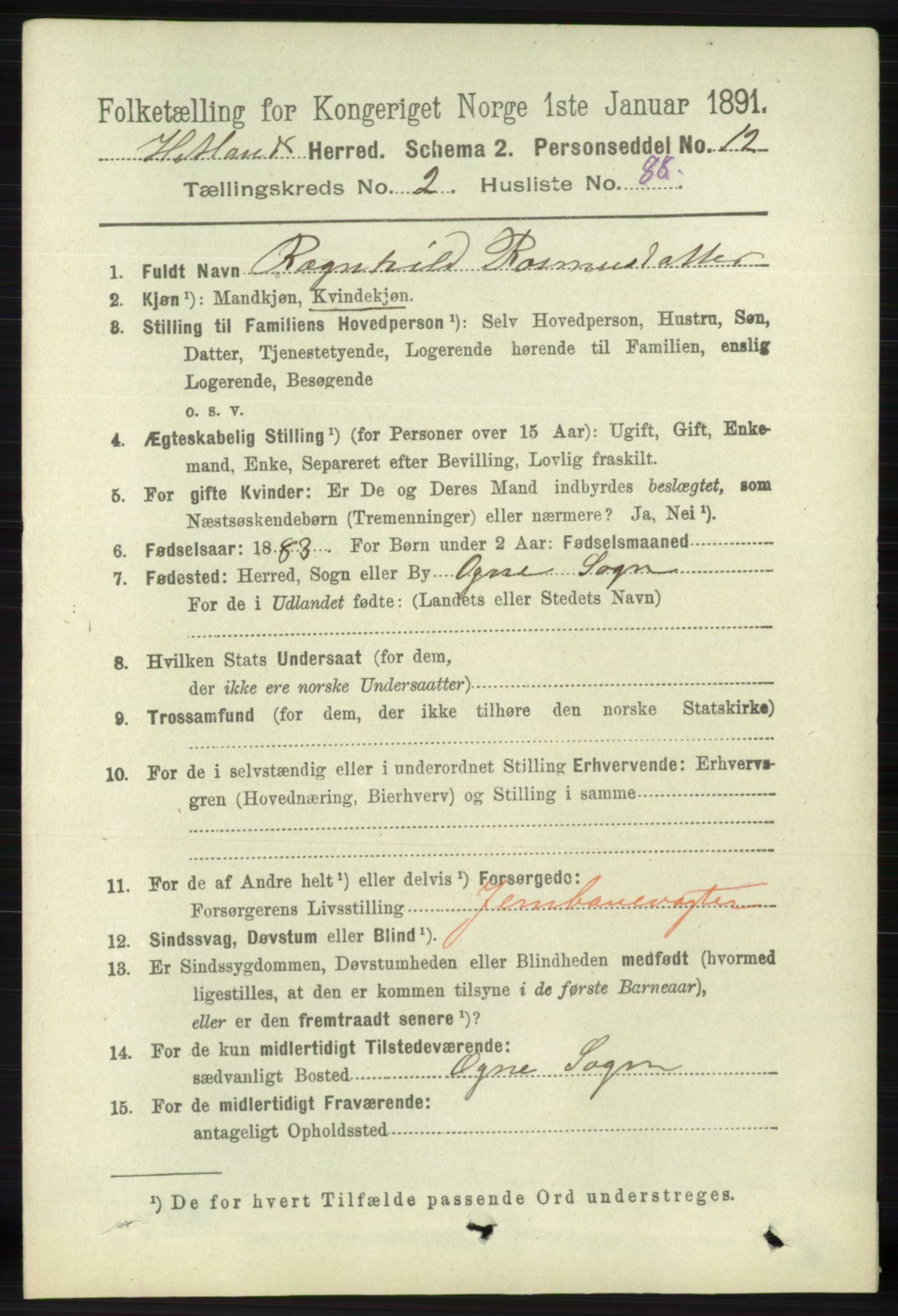 RA, 1891 census for 1126 Hetland, 1891, p. 1028