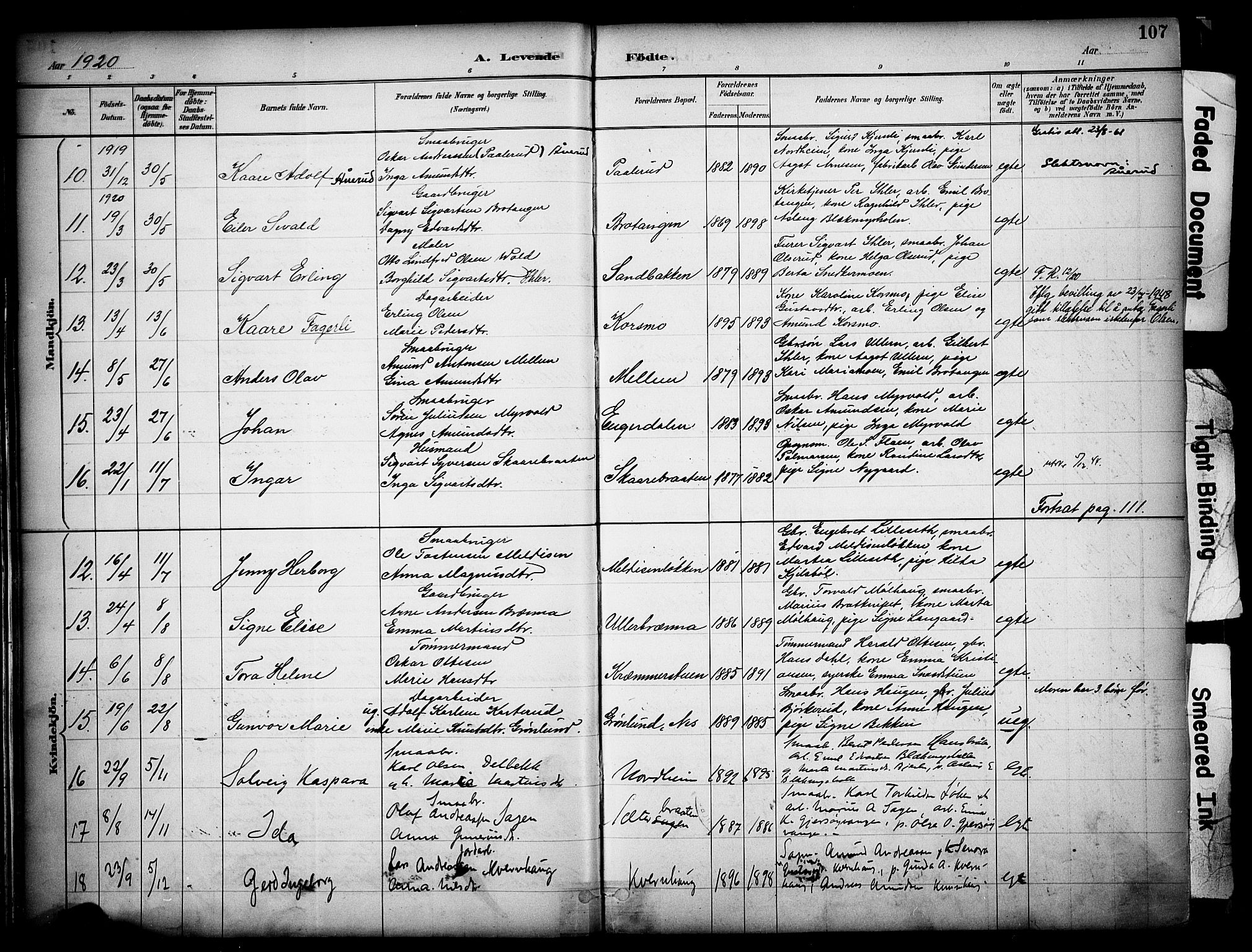 Sør-Odal prestekontor, AV/SAH-PREST-030/H/Ha/Haa/L0008: Parish register (official) no. 8, 1886-1922, p. 107