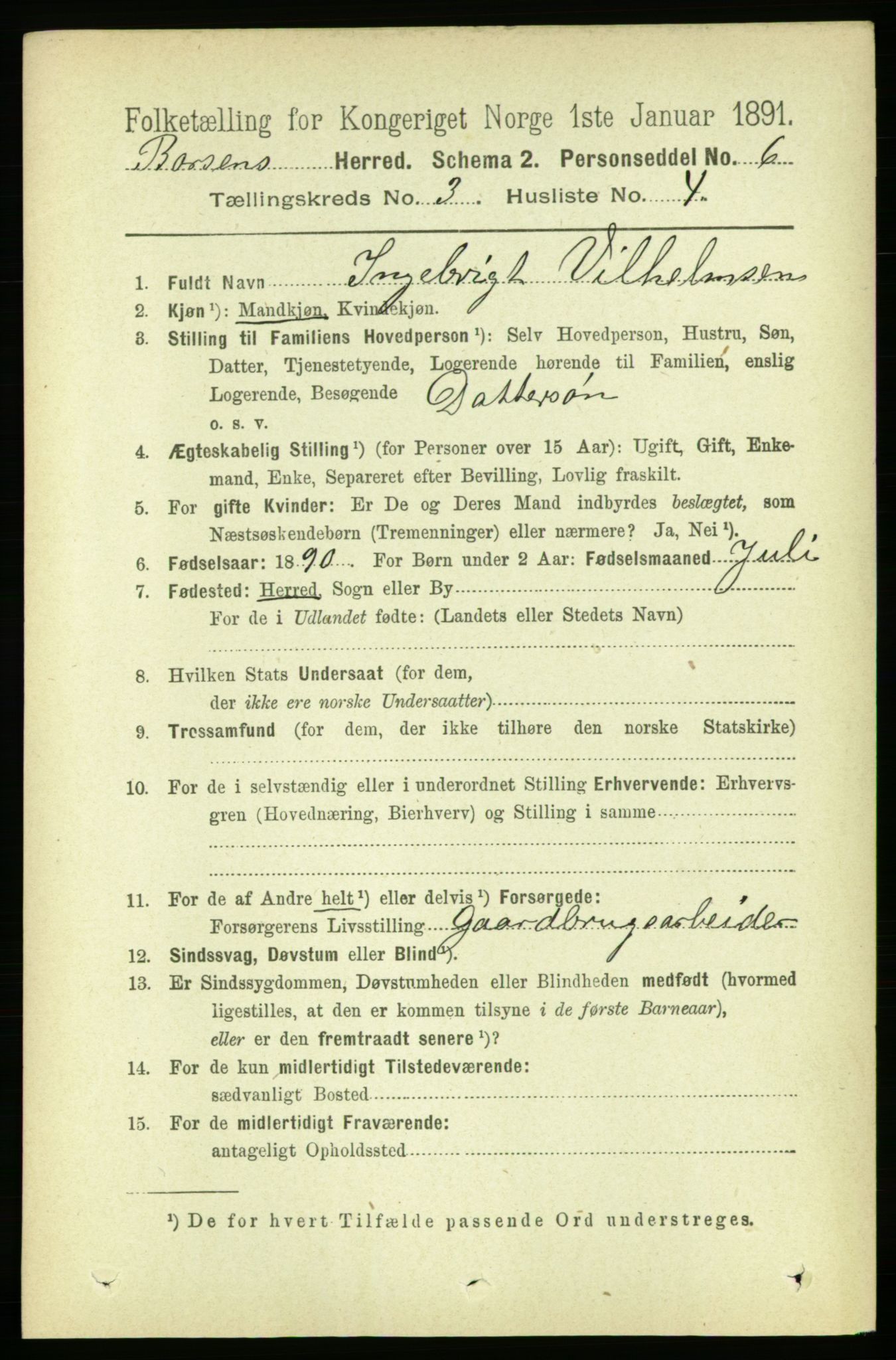 RA, 1891 census for 1658 Børsa, 1891, p. 893