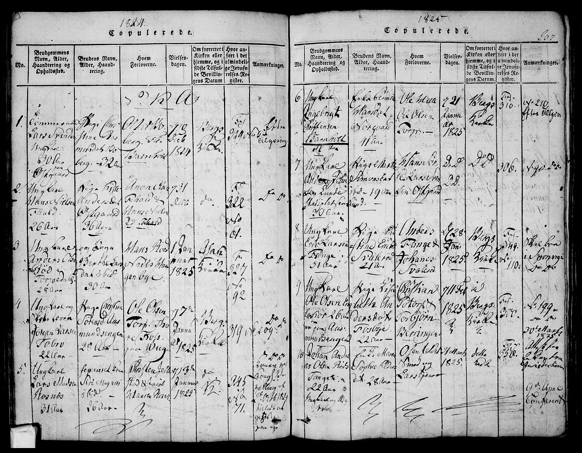 Berg prestekontor Kirkebøker, SAO/A-10902/F/Fa/L0002: Parish register (official) no. I 2, 1815-1831, p. 207