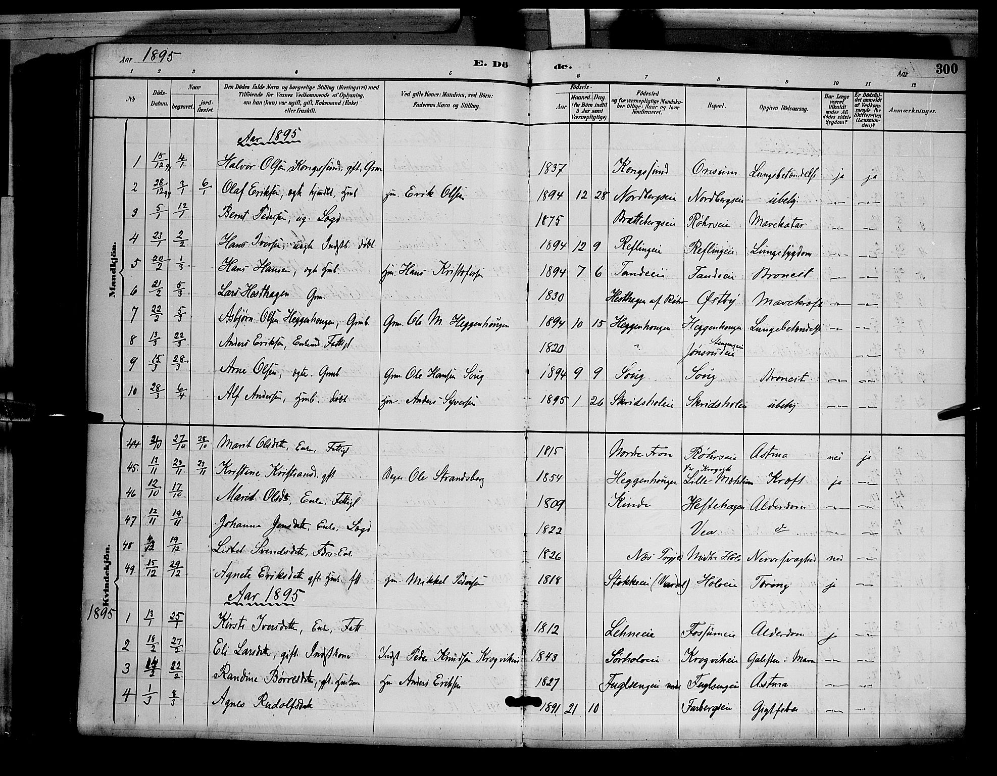 Ringsaker prestekontor, SAH/PREST-014/L/La/L0012: Parish register (copy) no. 12, 1891-1902, p. 300