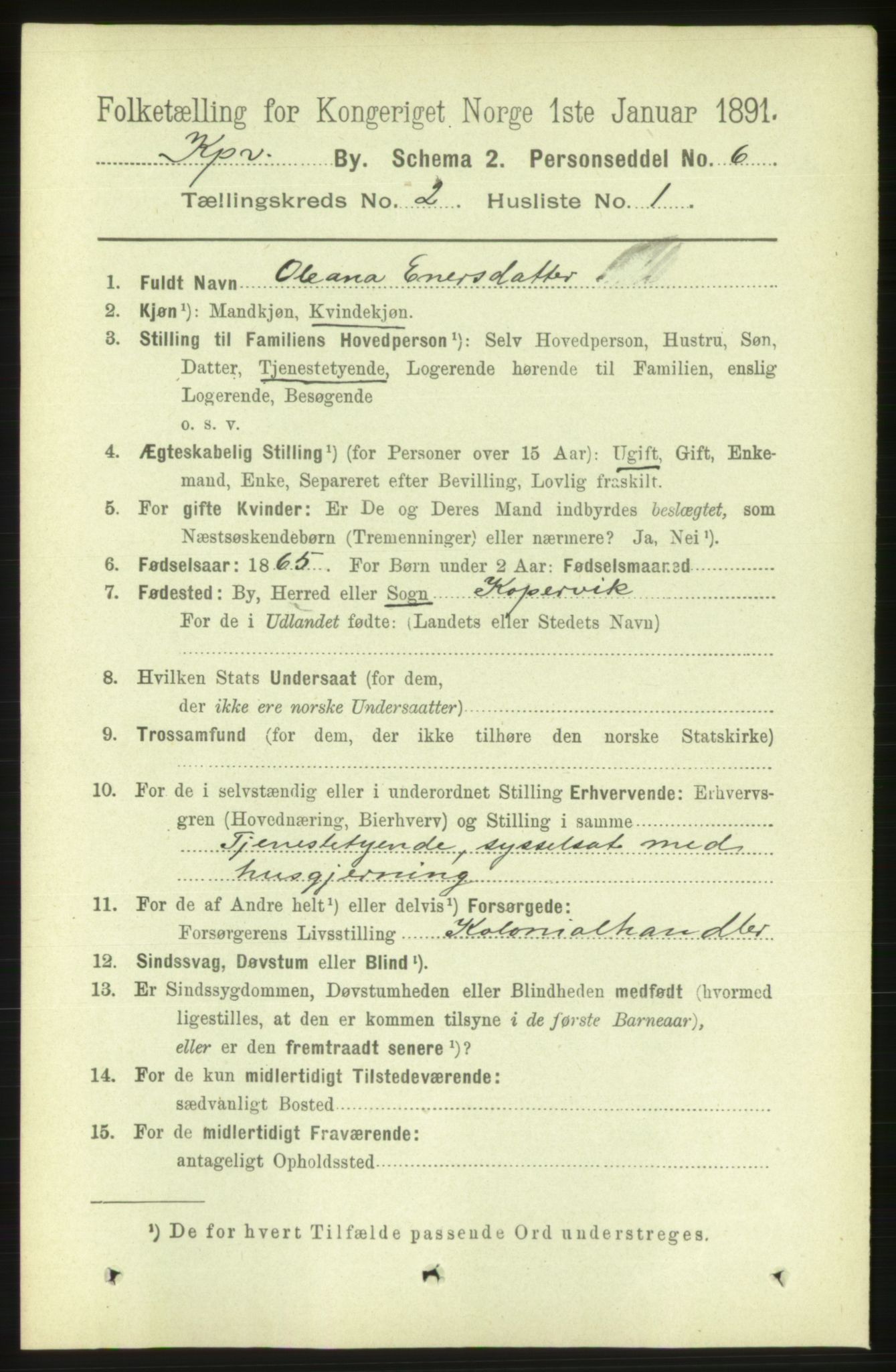 RA, 1891 census for 1105 Kopervik, 1891, p. 121