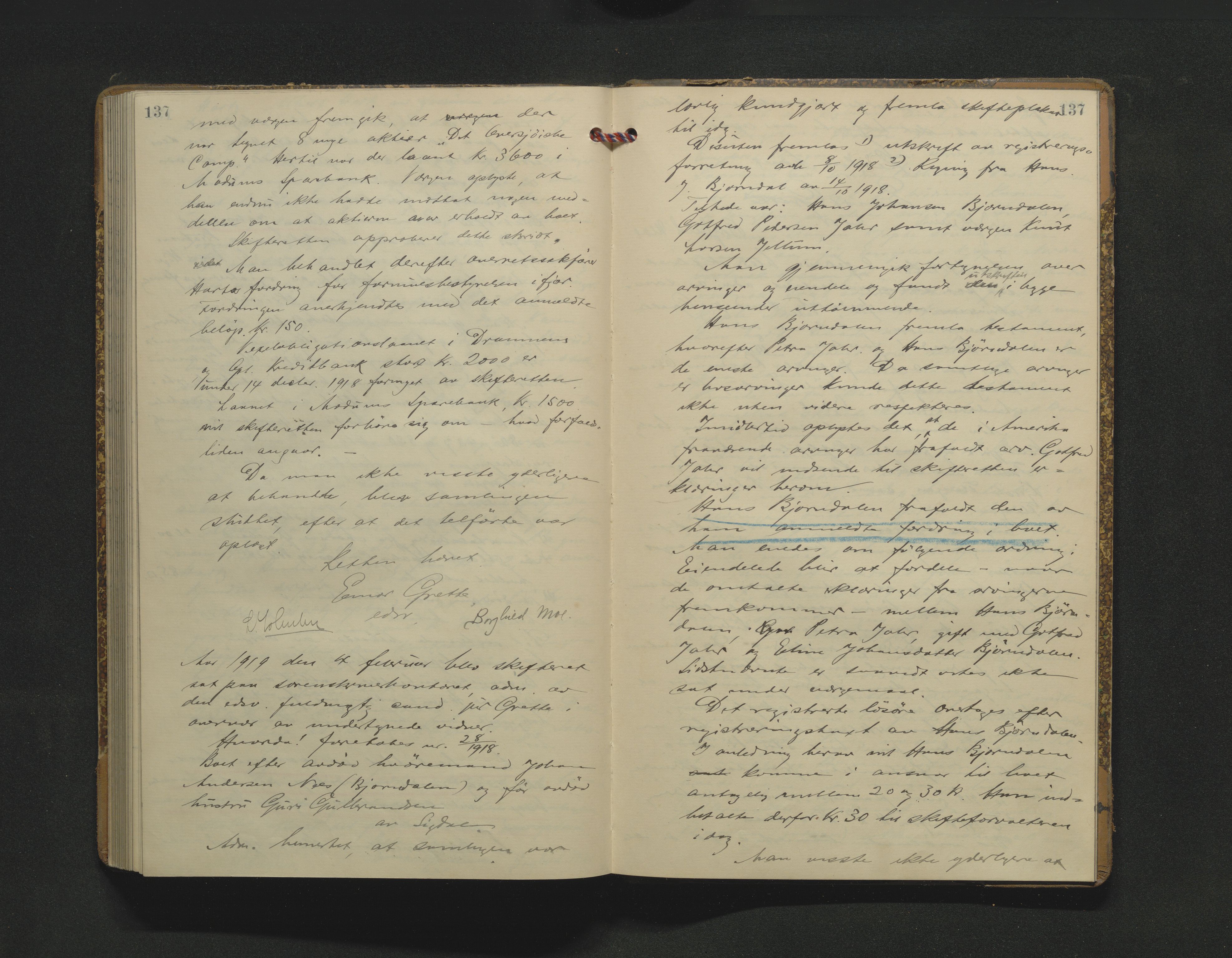 Eiker, Modum og Sigdal sorenskriveri, AV/SAKO-A-123/H/Hb/Hbb/Hbbd/L0008: Registrerings- og forhandlingsprotokoll, 1915-1919, p. 137