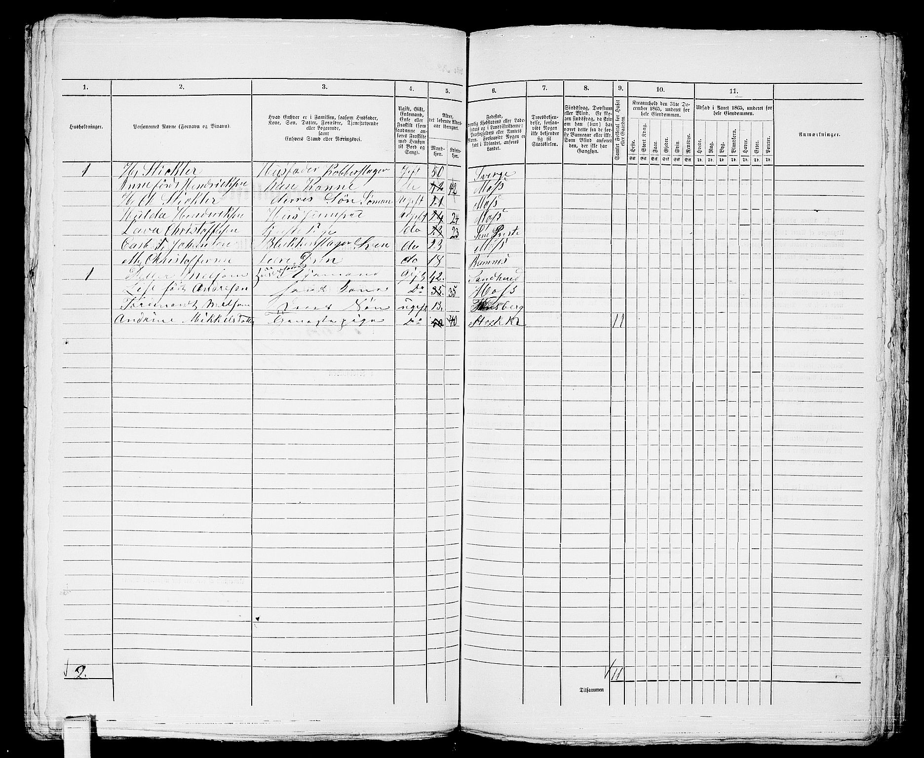 RA, 1865 census for Tønsberg, 1865, p. 183