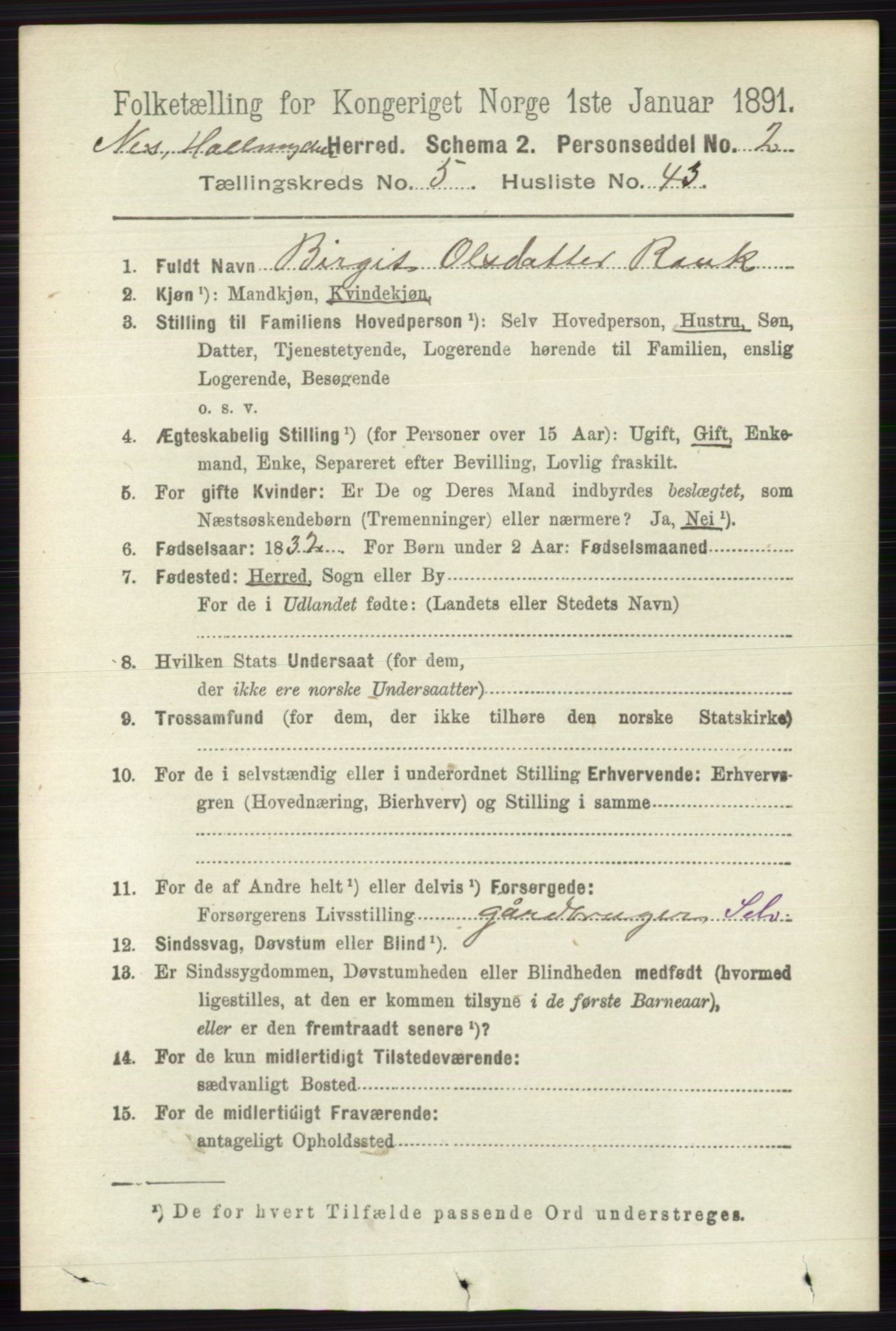 RA, 1891 census for 0616 Nes, 1891, p. 2863