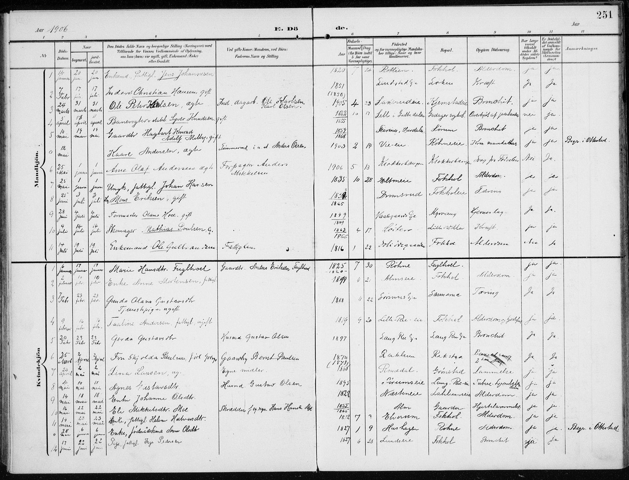 Stange prestekontor, SAH/PREST-002/K/L0024: Parish register (official) no. 24, 1906-1922, p. 251