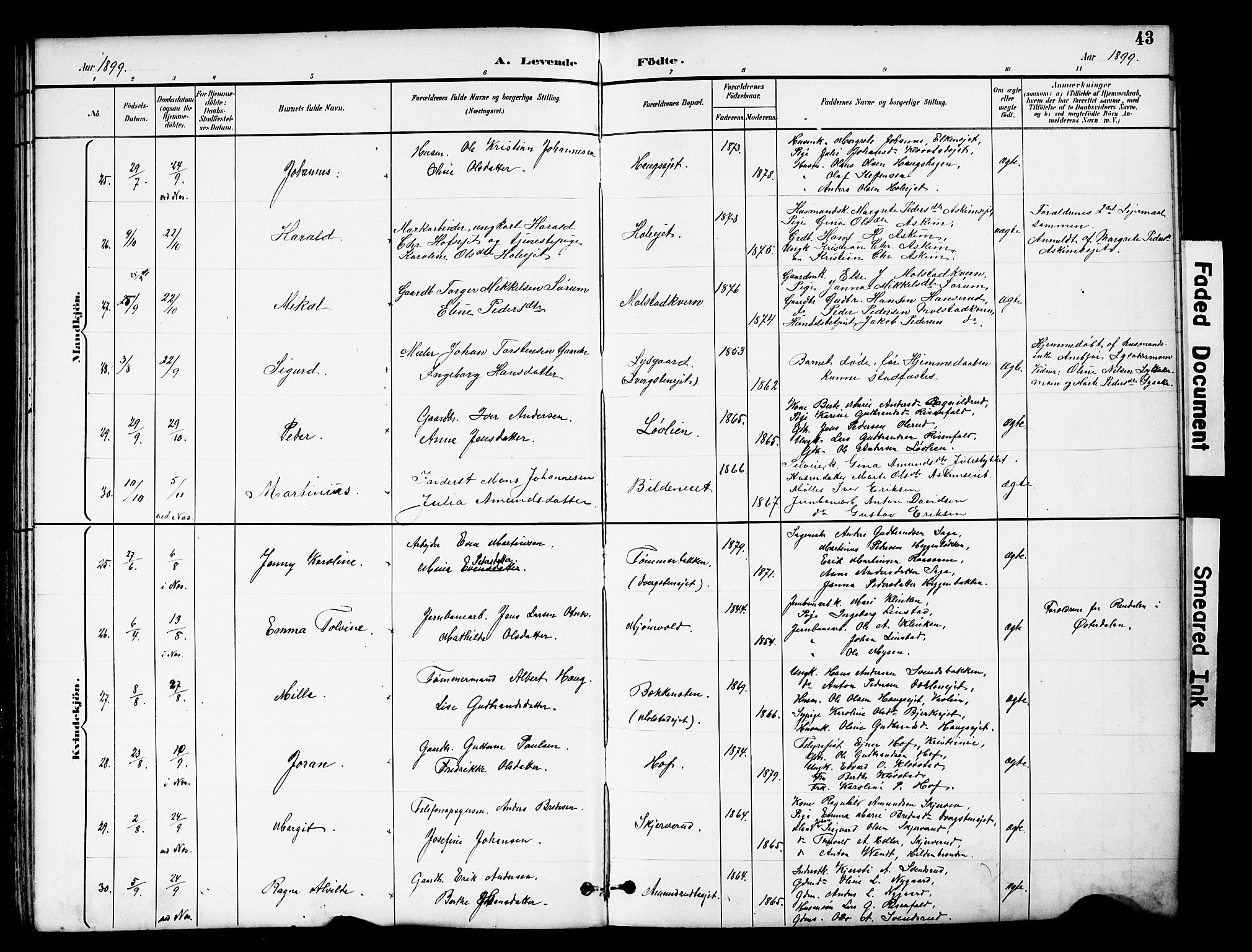 Brandbu prestekontor, SAH/PREST-114/H/Ha/Hab/L0006: Parish register (copy) no. 6, 1893-1902, p. 43