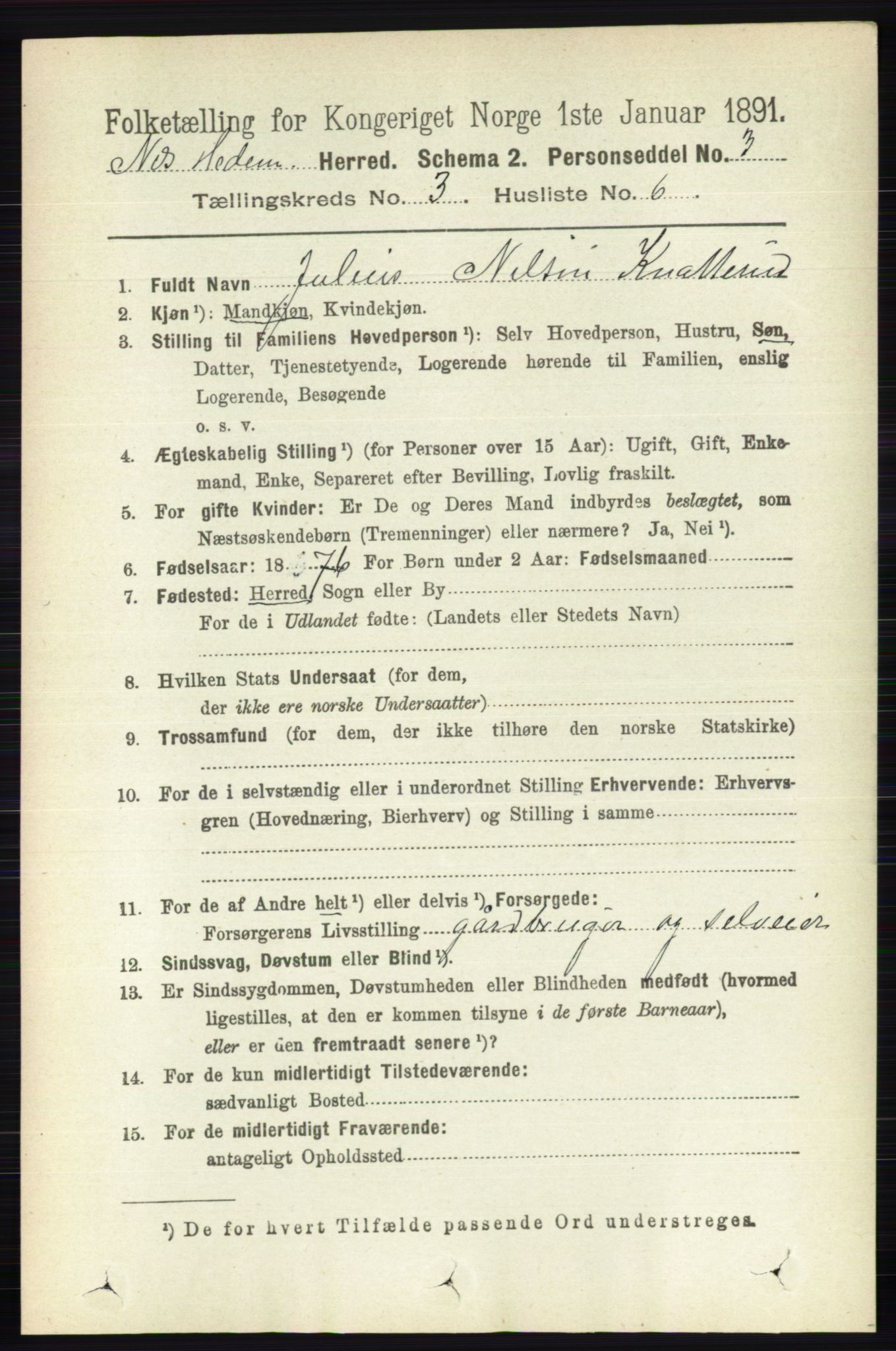 RA, 1891 census for 0411 Nes, 1891, p. 1624