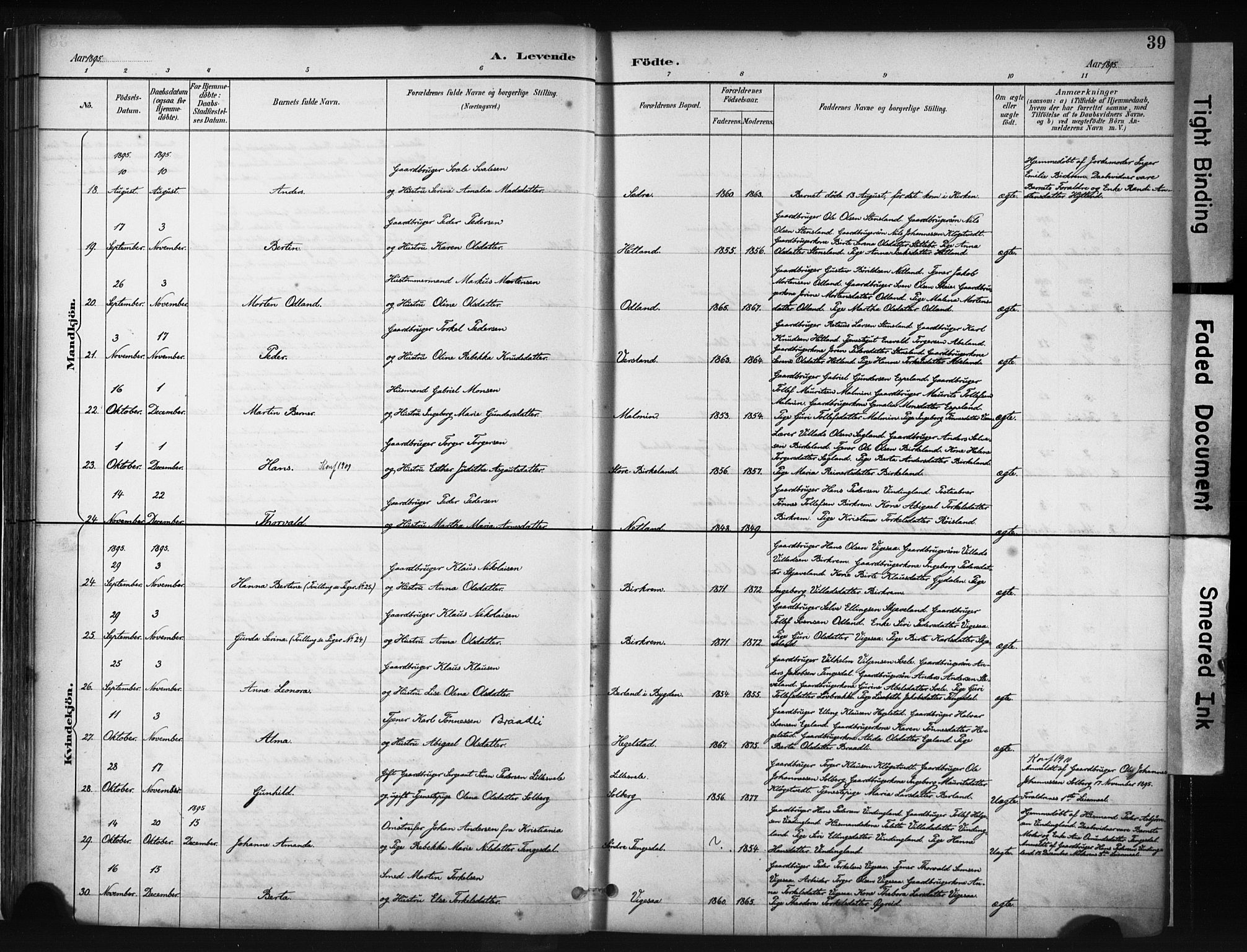 Helleland sokneprestkontor, AV/SAST-A-101810: Parish register (official) no. A 9, 1887-1908, p. 39