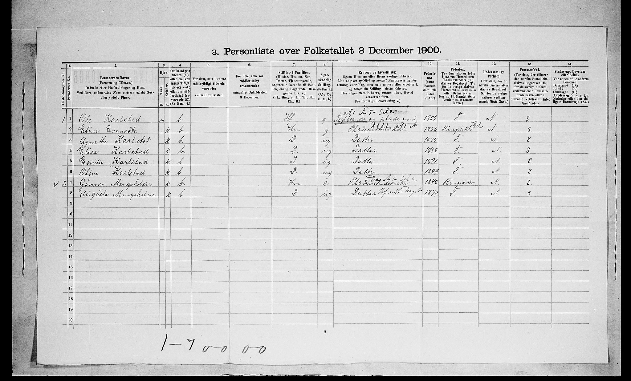 SAH, 1900 census for Nes, 1900, p. 1045