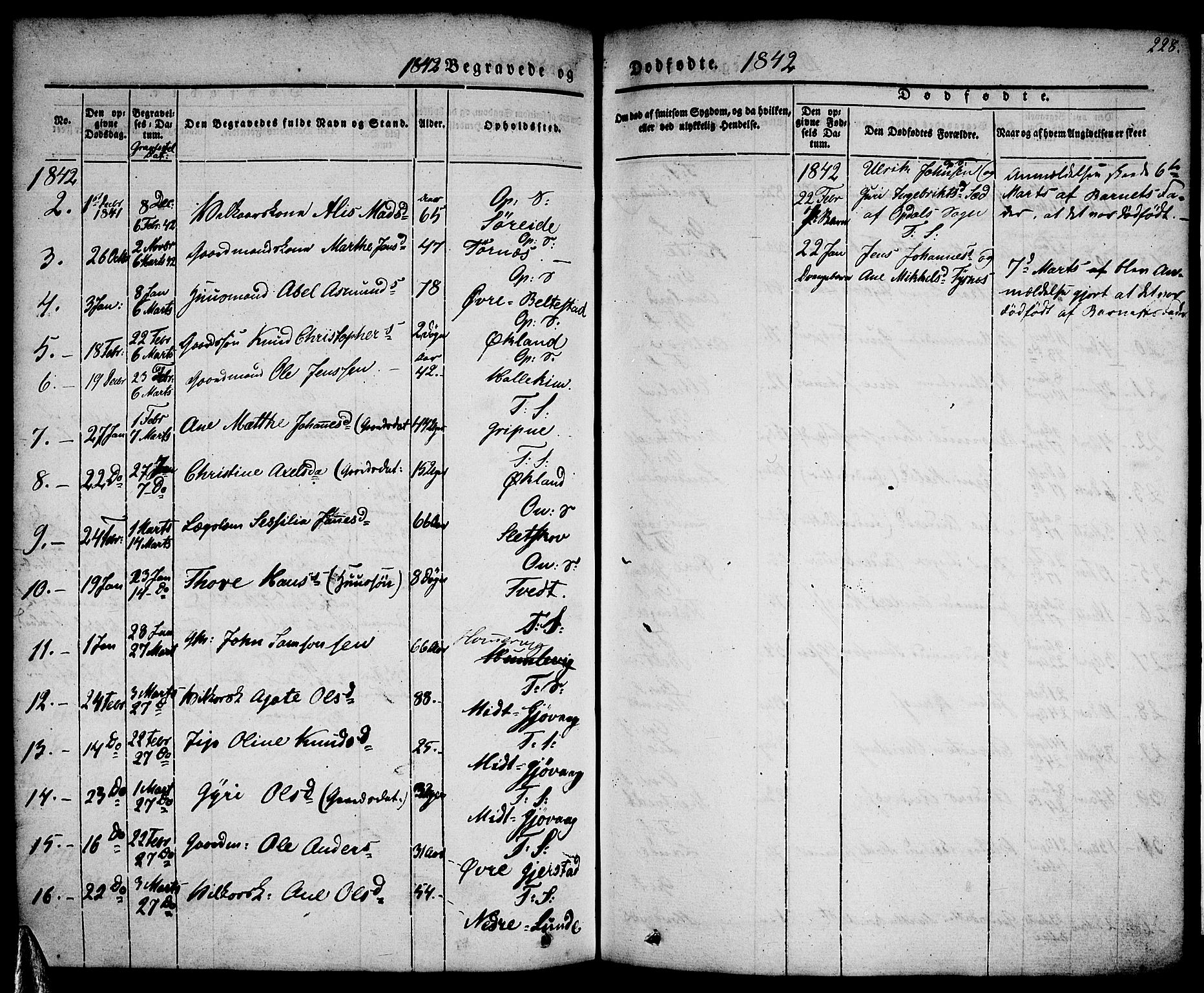 Tysnes sokneprestembete, AV/SAB-A-78601/H/Haa: Parish register (official) no. A 9, 1837-1848, p. 228