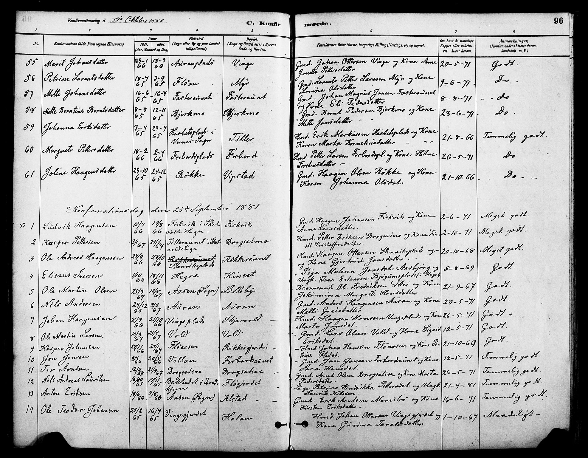 Ministerialprotokoller, klokkerbøker og fødselsregistre - Nord-Trøndelag, AV/SAT-A-1458/712/L0100: Parish register (official) no. 712A01, 1880-1900, p. 96