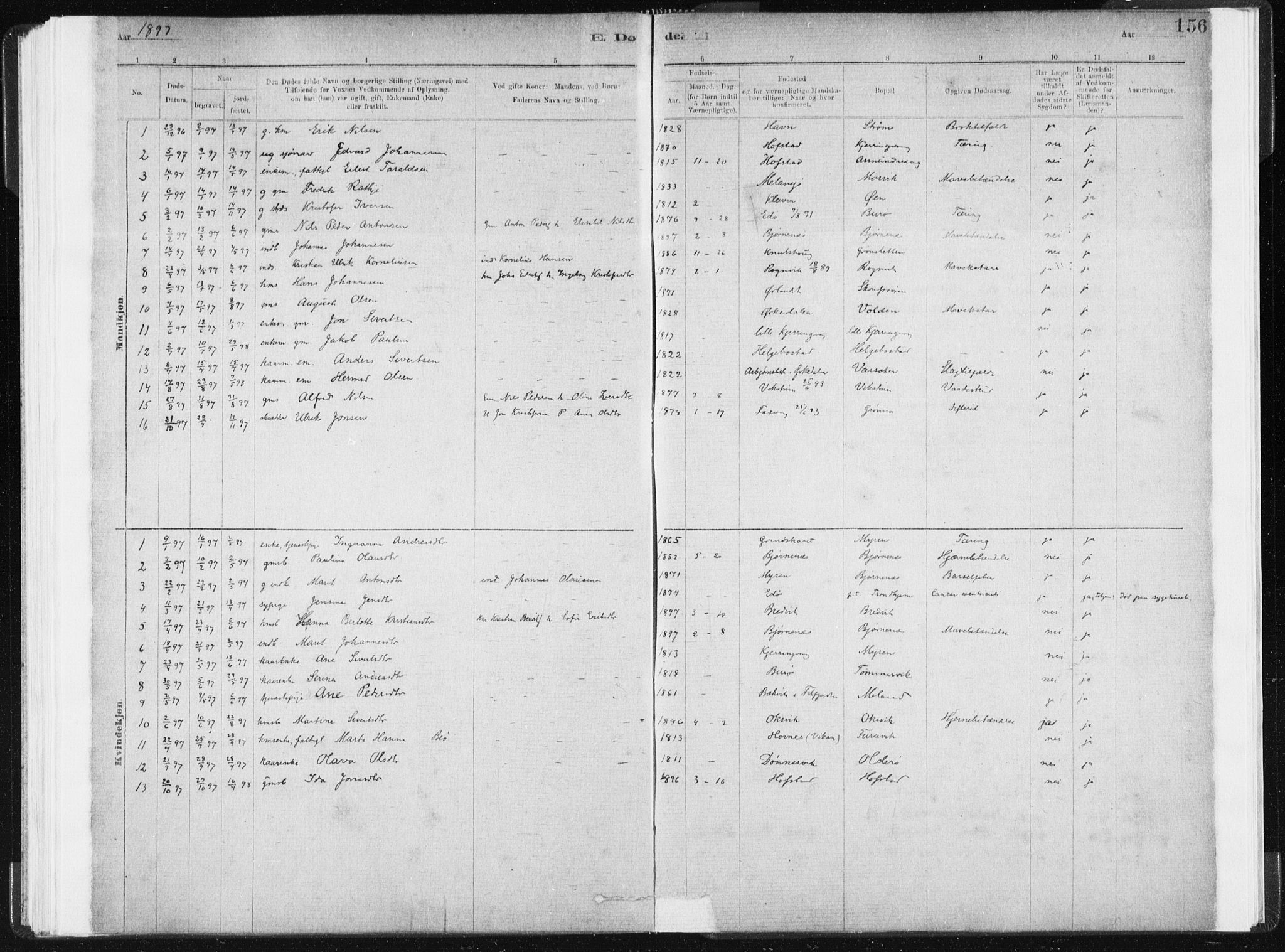 Ministerialprotokoller, klokkerbøker og fødselsregistre - Sør-Trøndelag, AV/SAT-A-1456/634/L0533: Parish register (official) no. 634A09, 1882-1901, p. 156