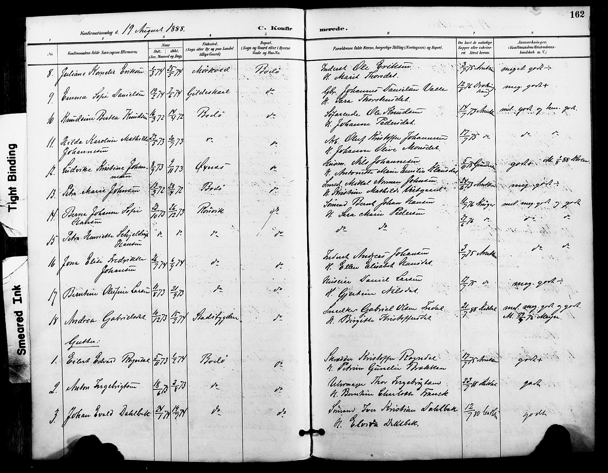 Ministerialprotokoller, klokkerbøker og fødselsregistre - Nordland, AV/SAT-A-1459/801/L0010: Parish register (official) no. 801A10, 1888-1899, p. 162