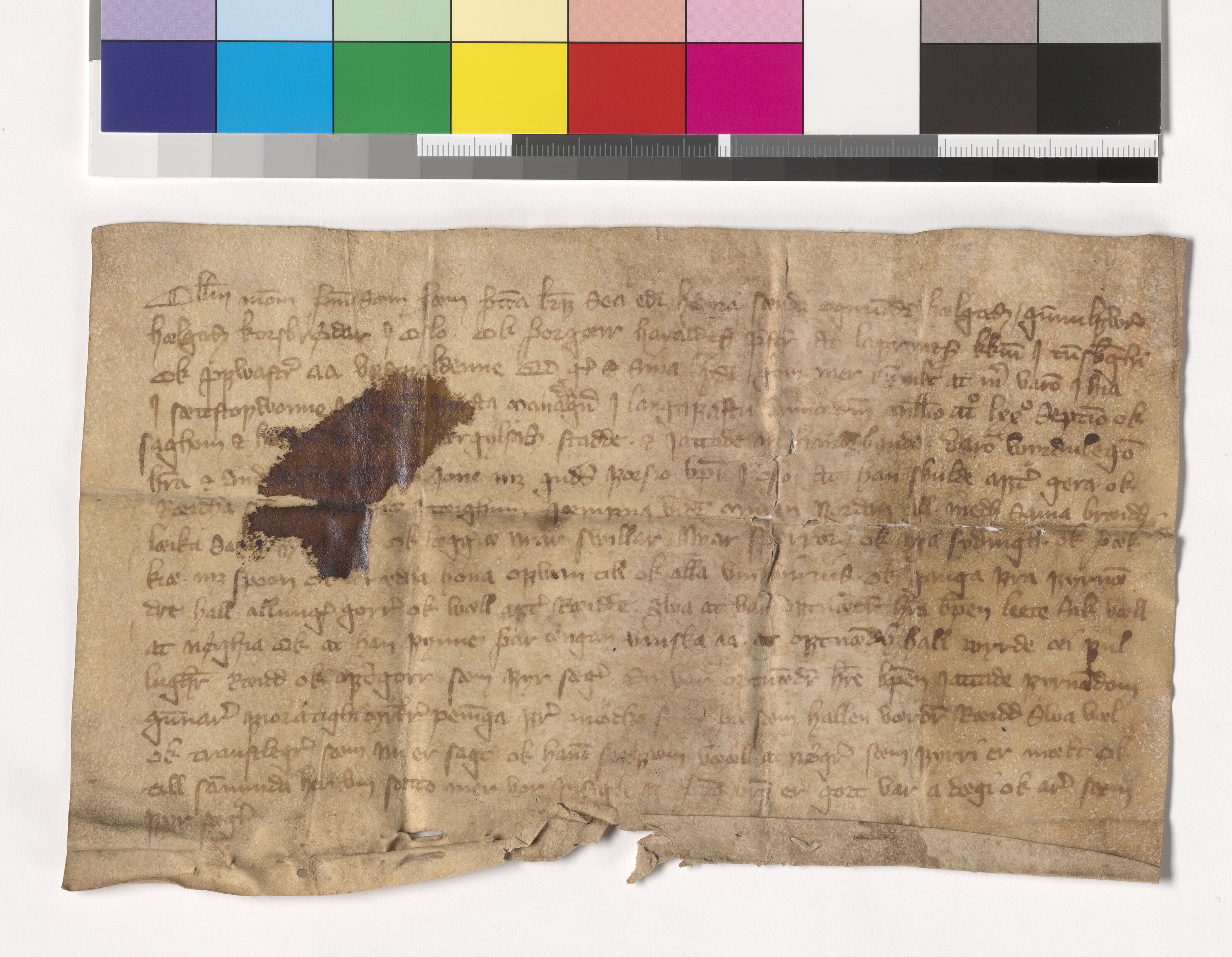 Riksarkivets diplomsamling, AV/RA-EA-5965/F05/L0179: NRA AM fasc. 73 nr. 9-28, 1376-1378, p. 8