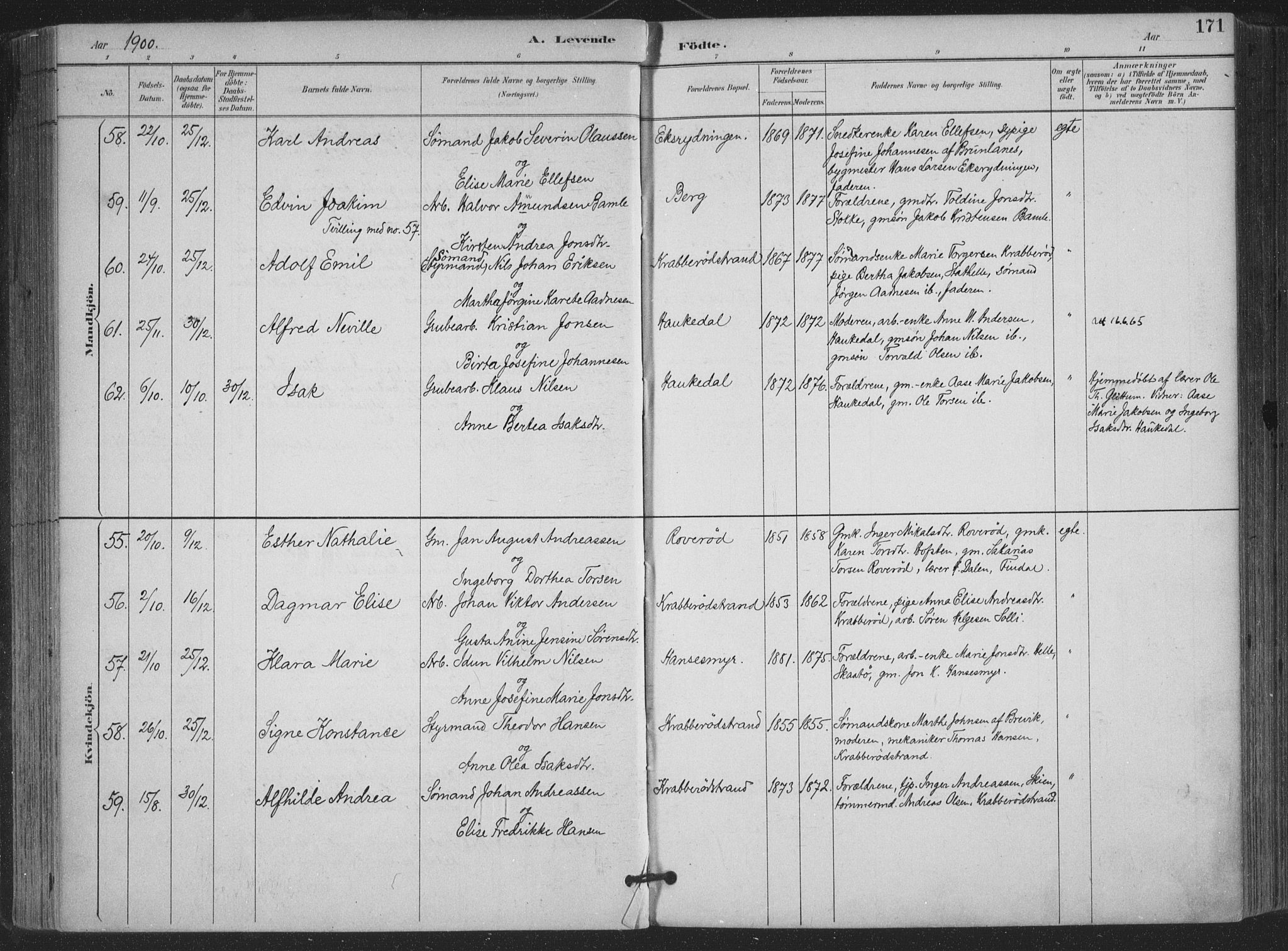 Bamble kirkebøker, SAKO/A-253/F/Fa/L0008: Parish register (official) no. I 8, 1888-1900, p. 171