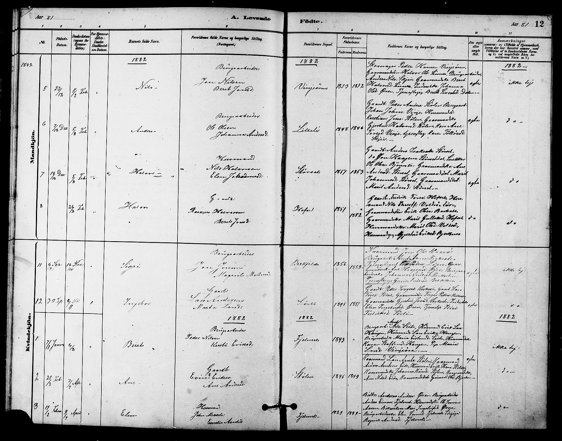 Ministerialprotokoller, klokkerbøker og fødselsregistre - Sør-Trøndelag, SAT/A-1456/631/L0514: Parish register (copy) no. 631C02, 1879-1912, p. 12