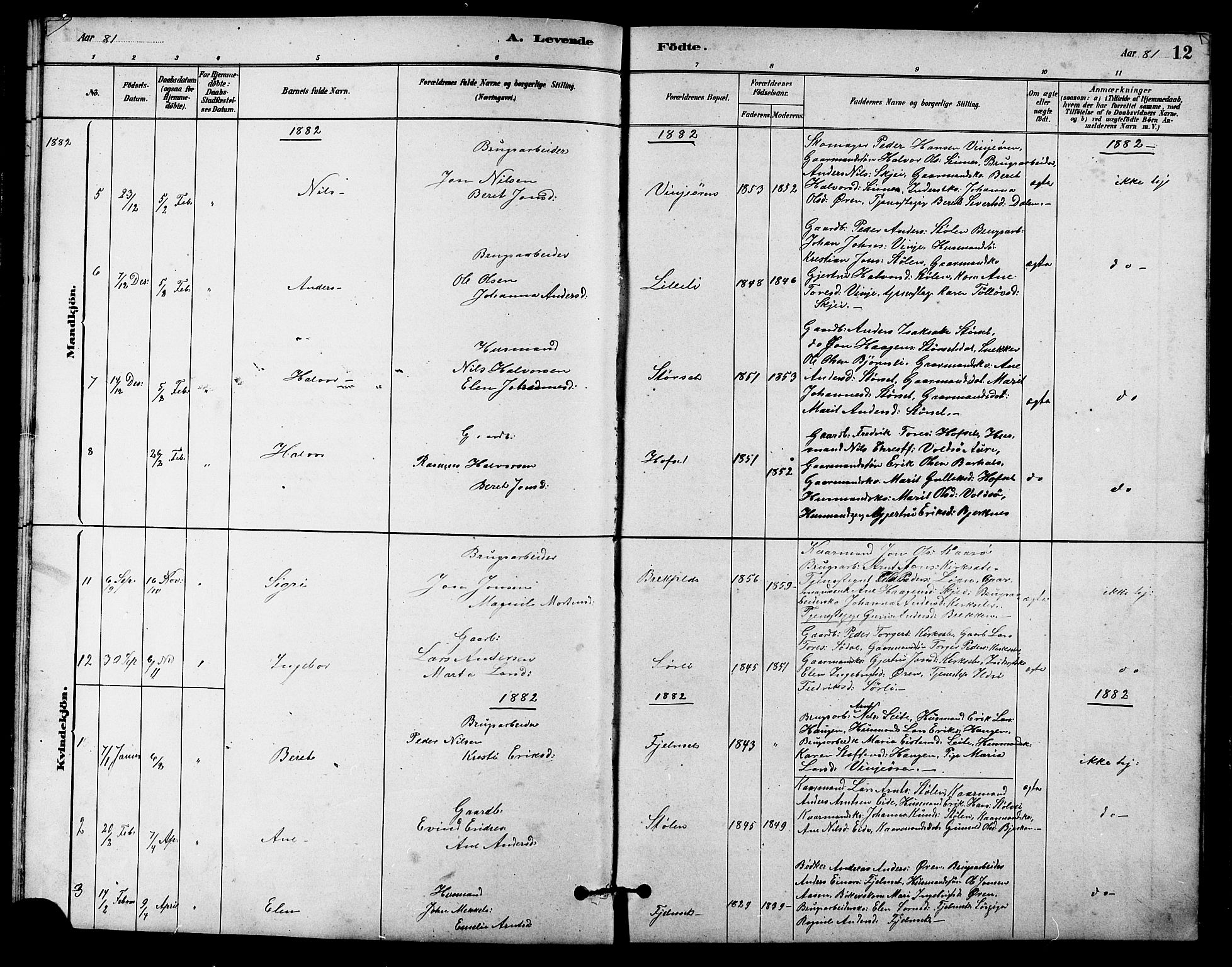 Ministerialprotokoller, klokkerbøker og fødselsregistre - Sør-Trøndelag, AV/SAT-A-1456/631/L0514: Parish register (copy) no. 631C02, 1879-1912, p. 12