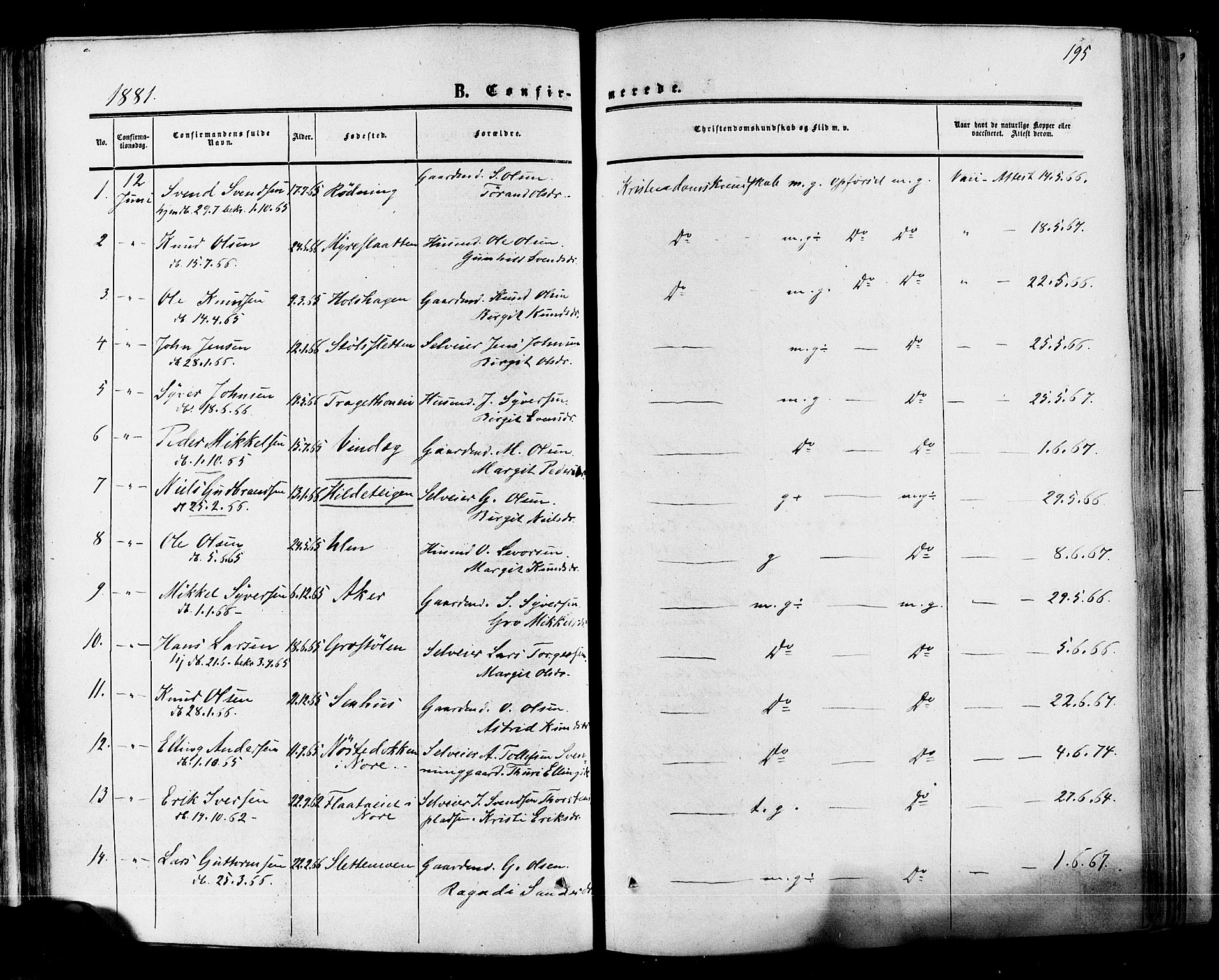 Hol kirkebøker, SAKO/A-227/F/Fa/L0002: Parish register (official) no. I 2, 1870-1886, p. 195
