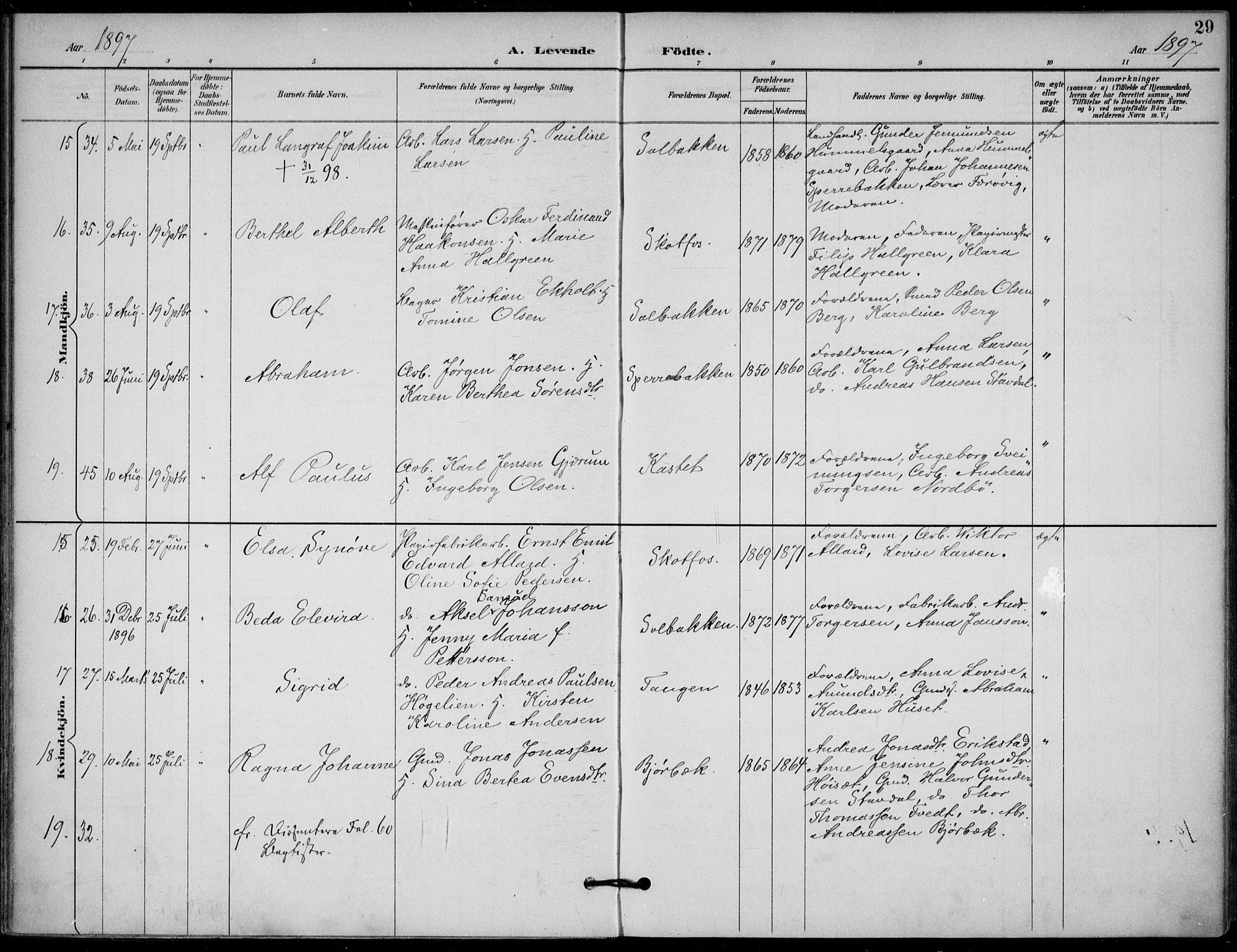 Solum kirkebøker, AV/SAKO-A-306/F/Fb/L0002: Parish register (official) no. II 2, 1893-1901, p. 29