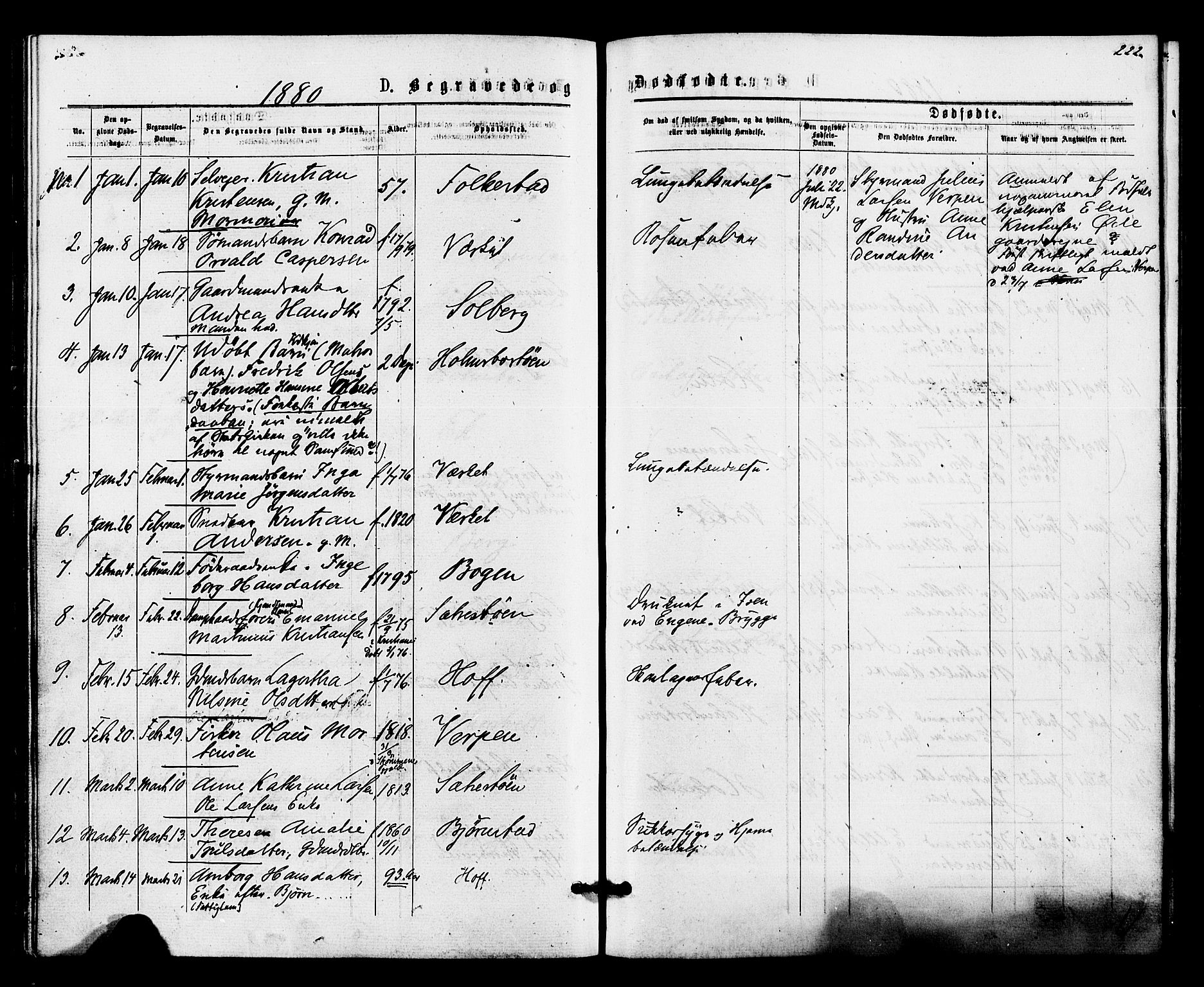 Hurum kirkebøker, SAKO/A-229/F/Fa/L0013: Parish register (official) no. 13, 1876-1881, p. 222