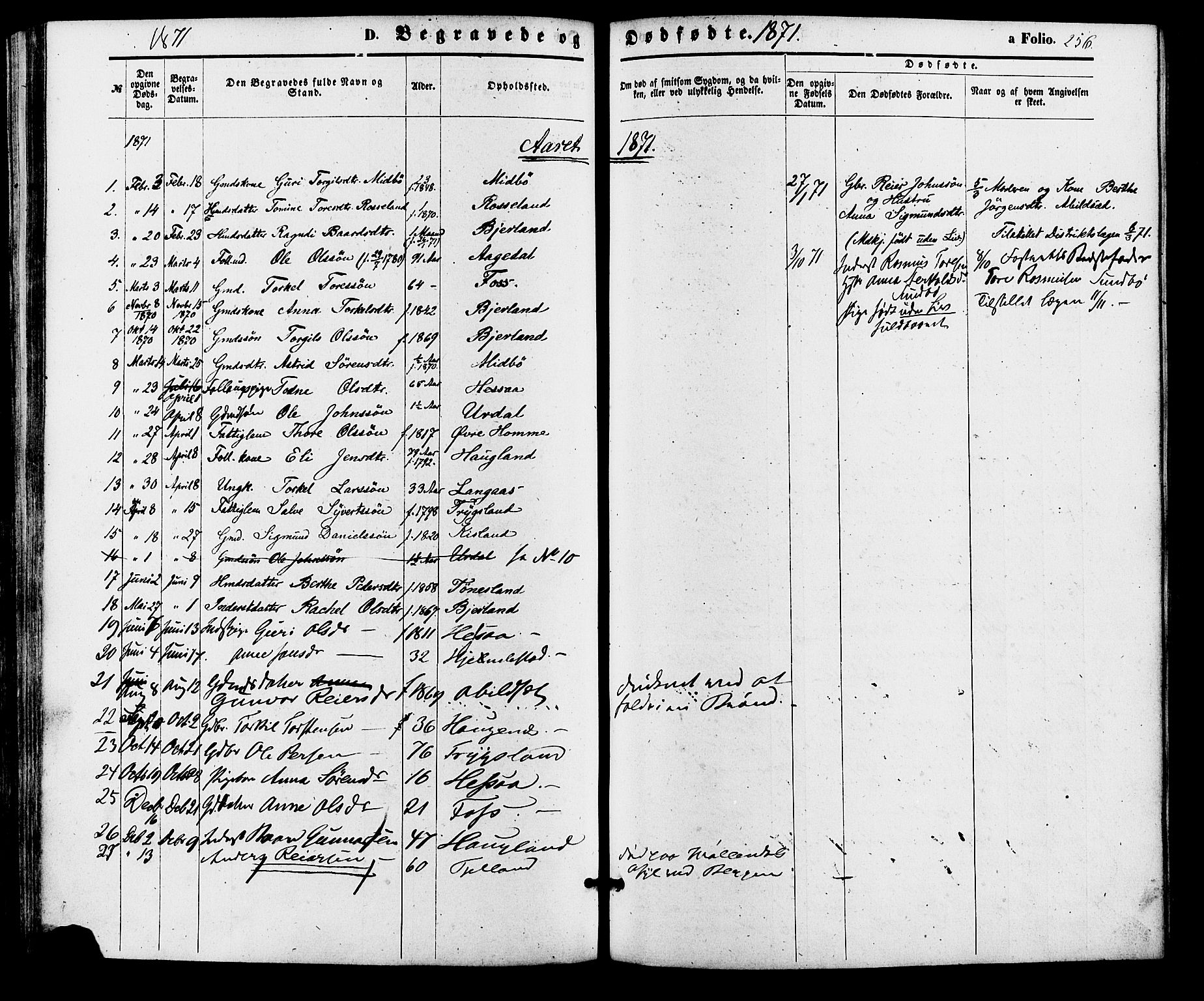 Bjelland sokneprestkontor, AV/SAK-1111-0005/F/Fa/Faa/L0003: Parish register (official) no. A 3, 1867-1887, p. 256
