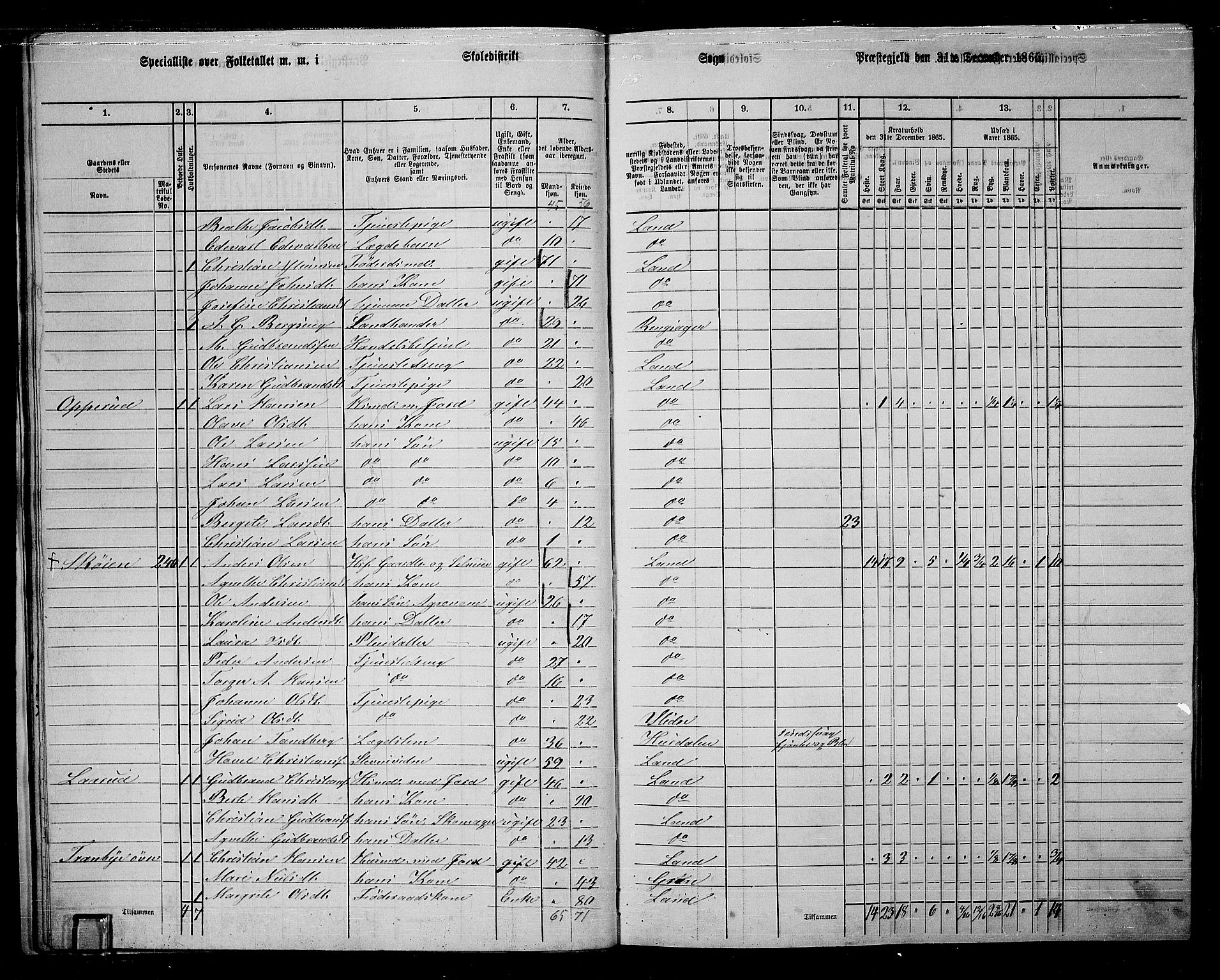 RA, 1865 census for Land, 1865, p. 234