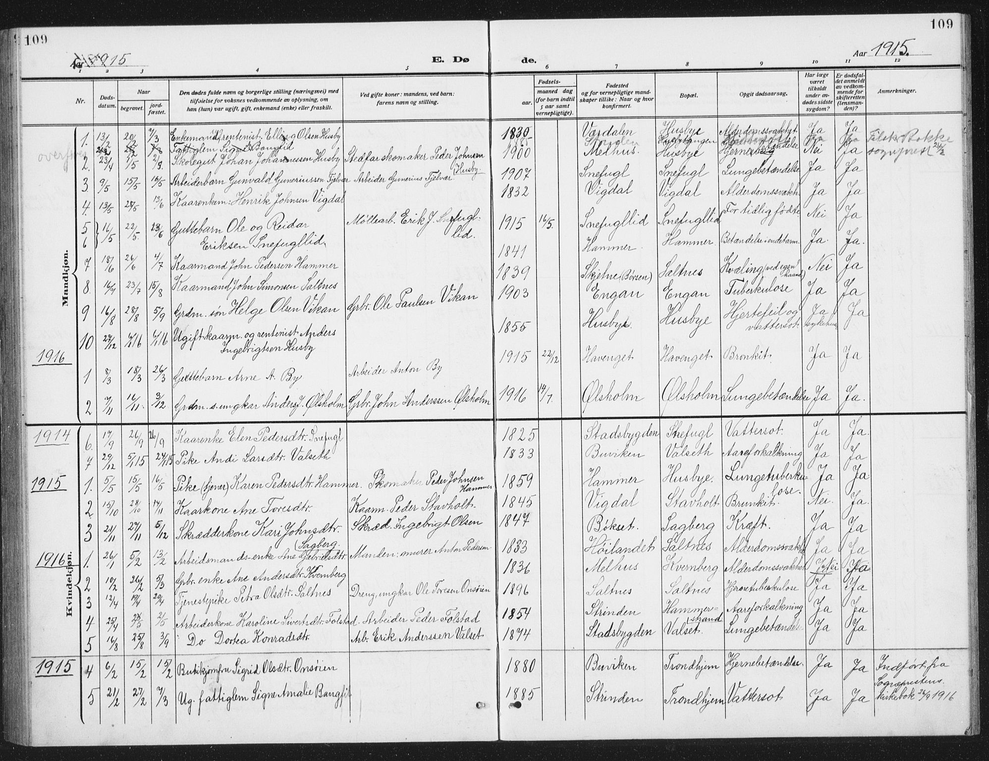 Ministerialprotokoller, klokkerbøker og fødselsregistre - Sør-Trøndelag, SAT/A-1456/666/L0791: Parish register (copy) no. 666C04, 1909-1939, p. 109