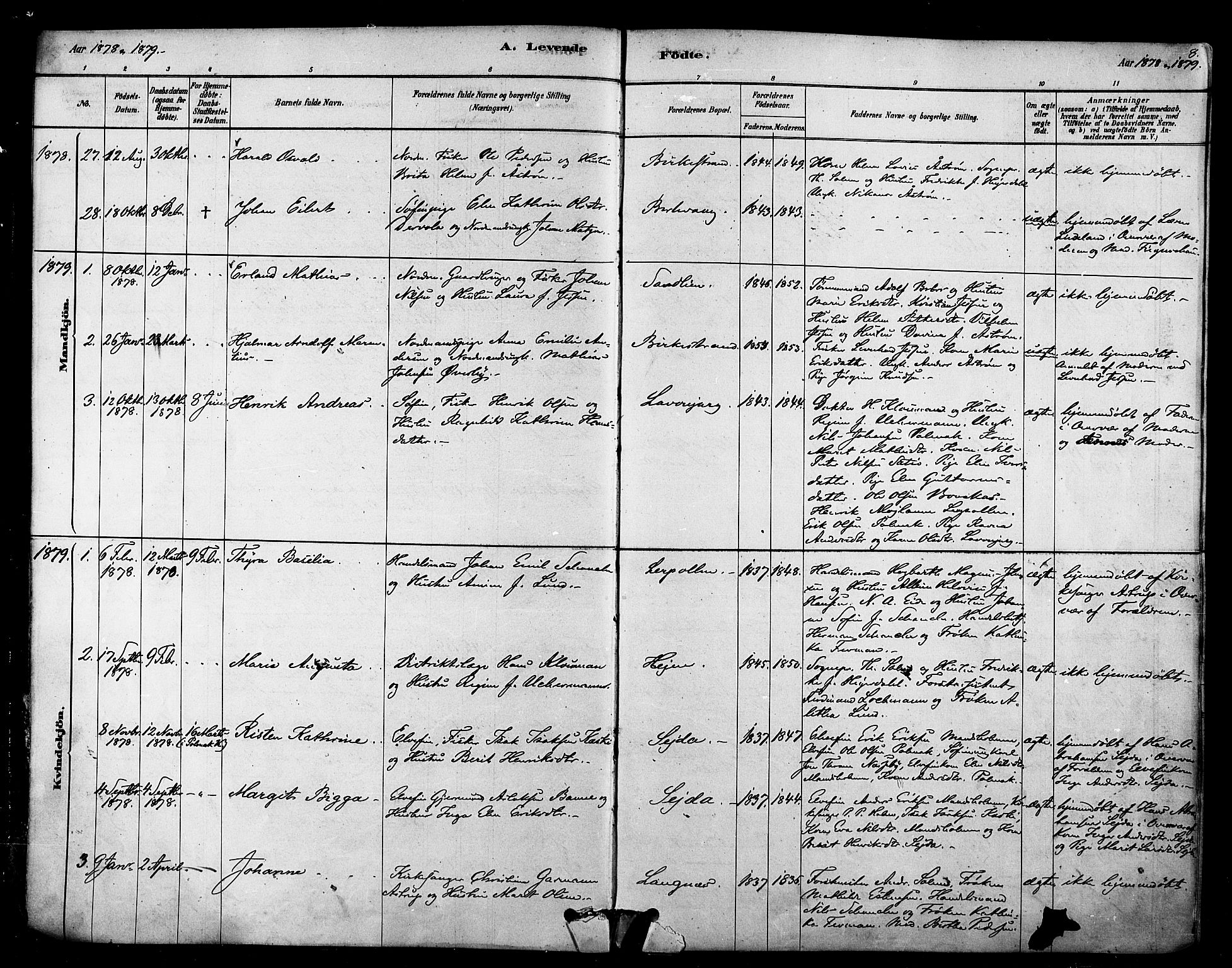 Tana sokneprestkontor, SATØ/S-1334/H/Ha/L0004kirke: Parish register (official) no. 4, 1878-1891, p. 8