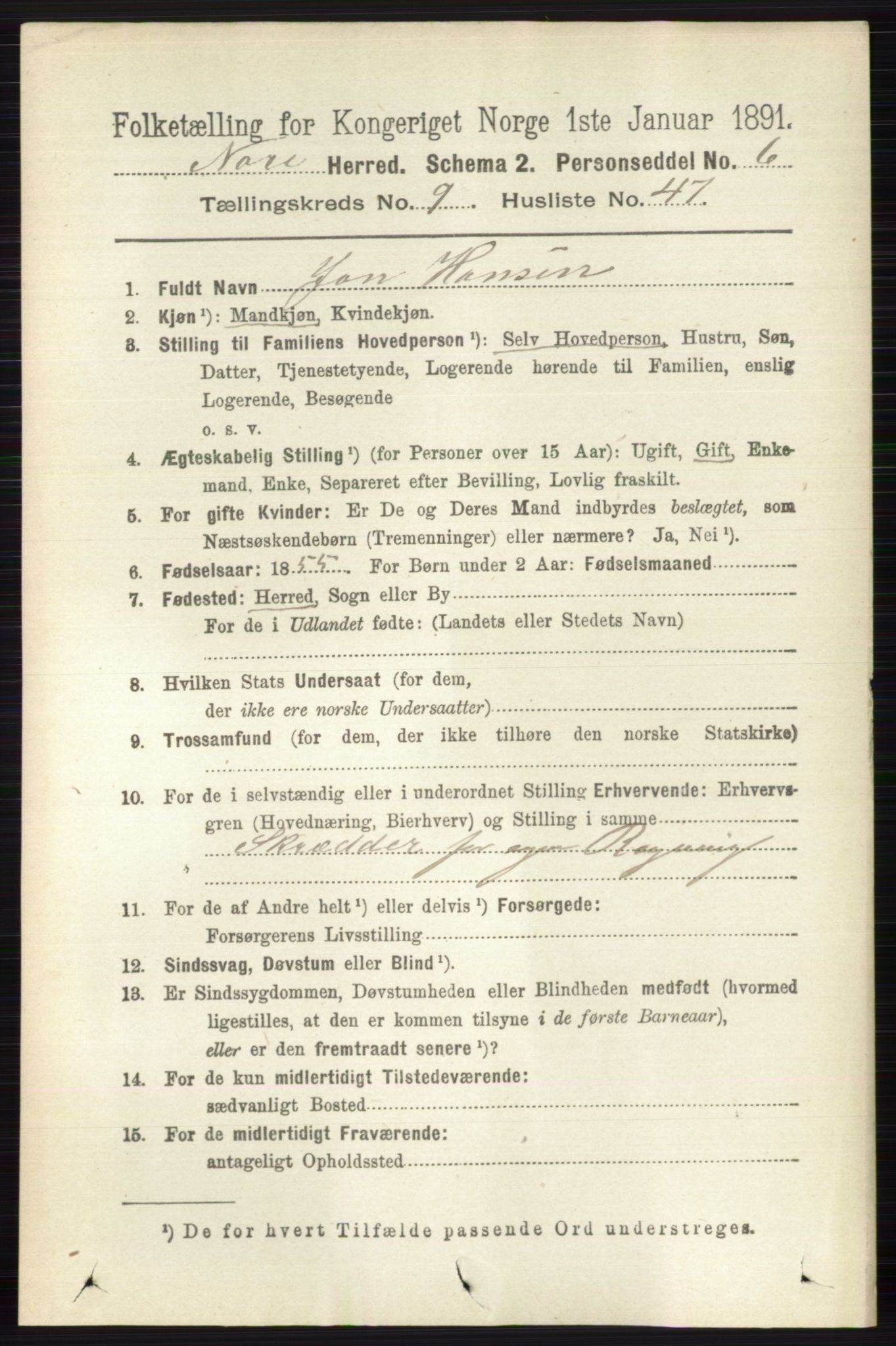 RA, 1891 census for 0633 Nore, 1891, p. 3483