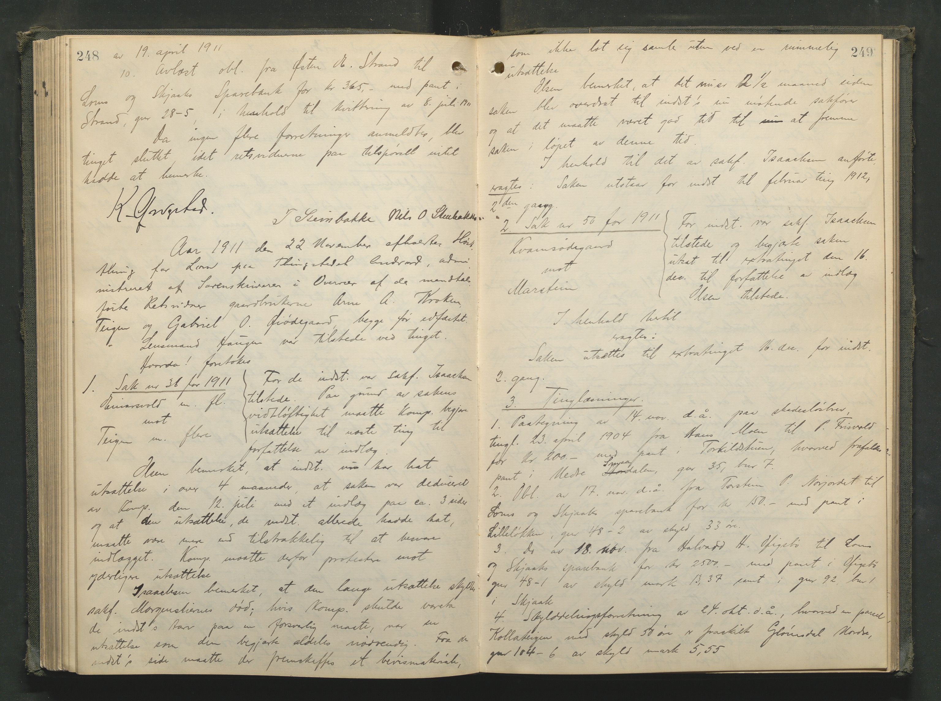 Nord-Gudbrandsdal tingrett, AV/SAH-TING-002/G/Gc/Gcb/L0008: Ekstrarettsprotokoll for åstedssaker, 1909-1913, p. 248-249