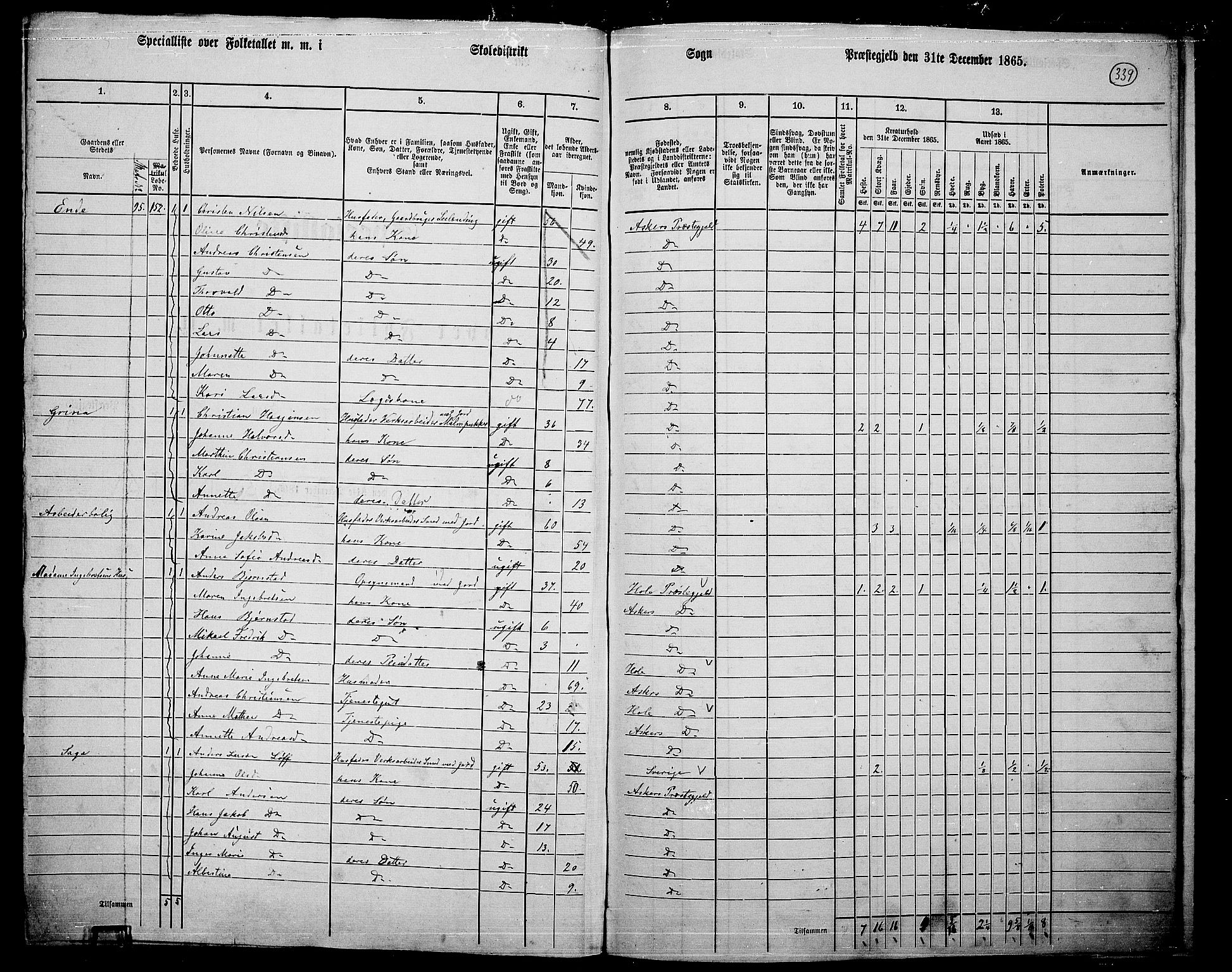 RA, 1865 census for Asker, 1865, p. 323