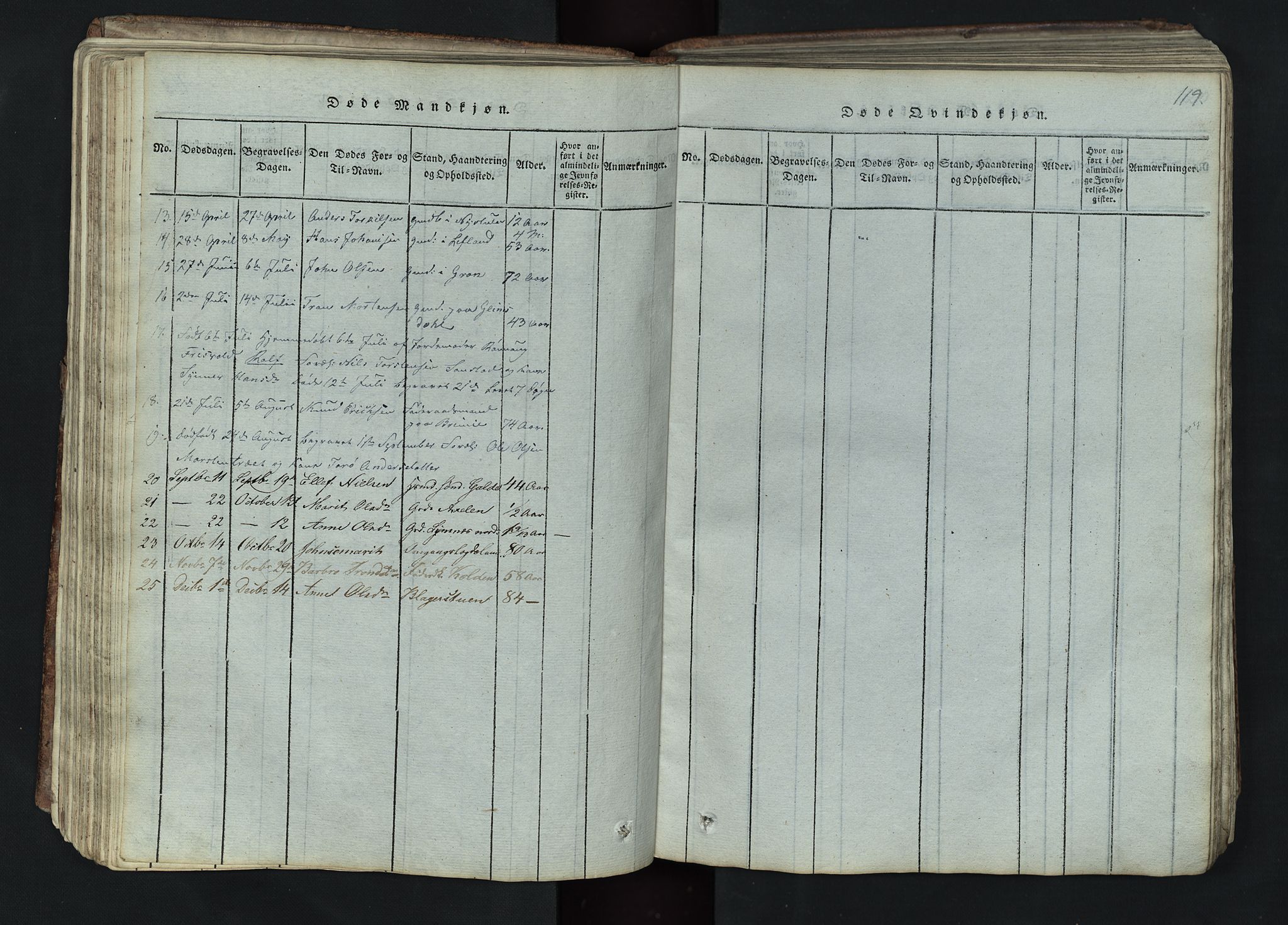 Lom prestekontor, SAH/PREST-070/L/L0002: Parish register (copy) no. 2, 1815-1844, p. 119