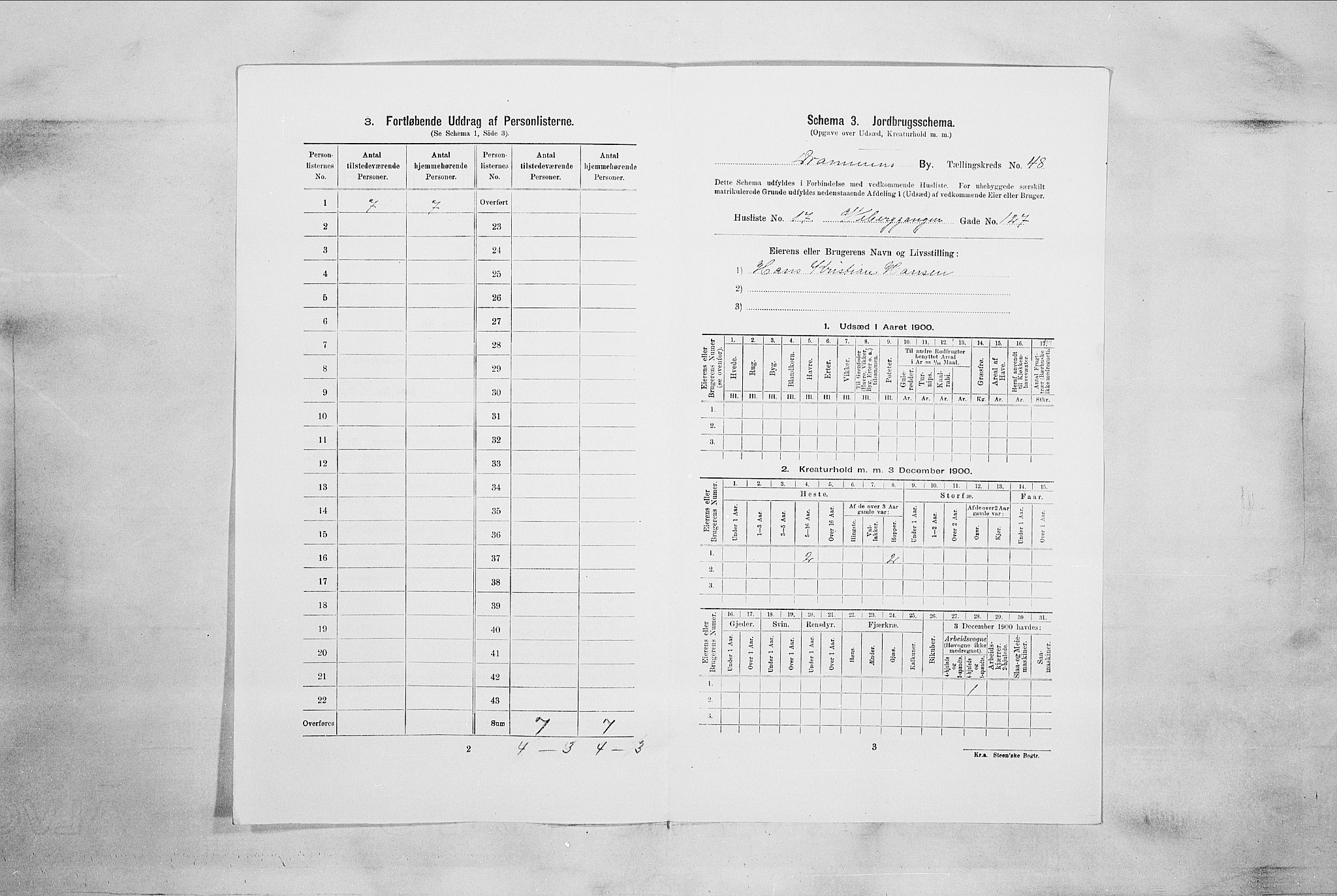 RA, 1900 census for Drammen, 1900, p. 8439