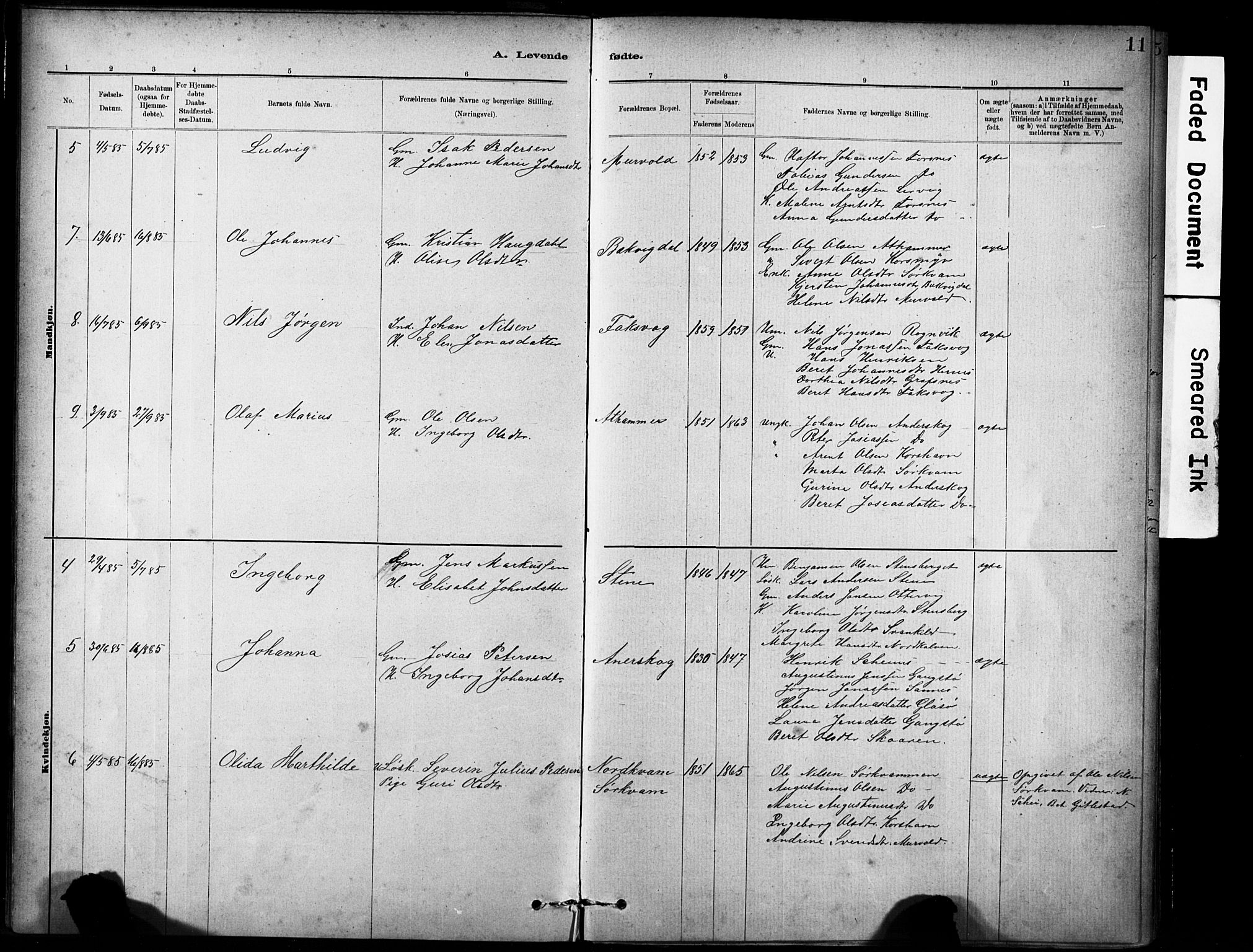 Ministerialprotokoller, klokkerbøker og fødselsregistre - Sør-Trøndelag, SAT/A-1456/635/L0551: Parish register (official) no. 635A01, 1882-1899, p. 11