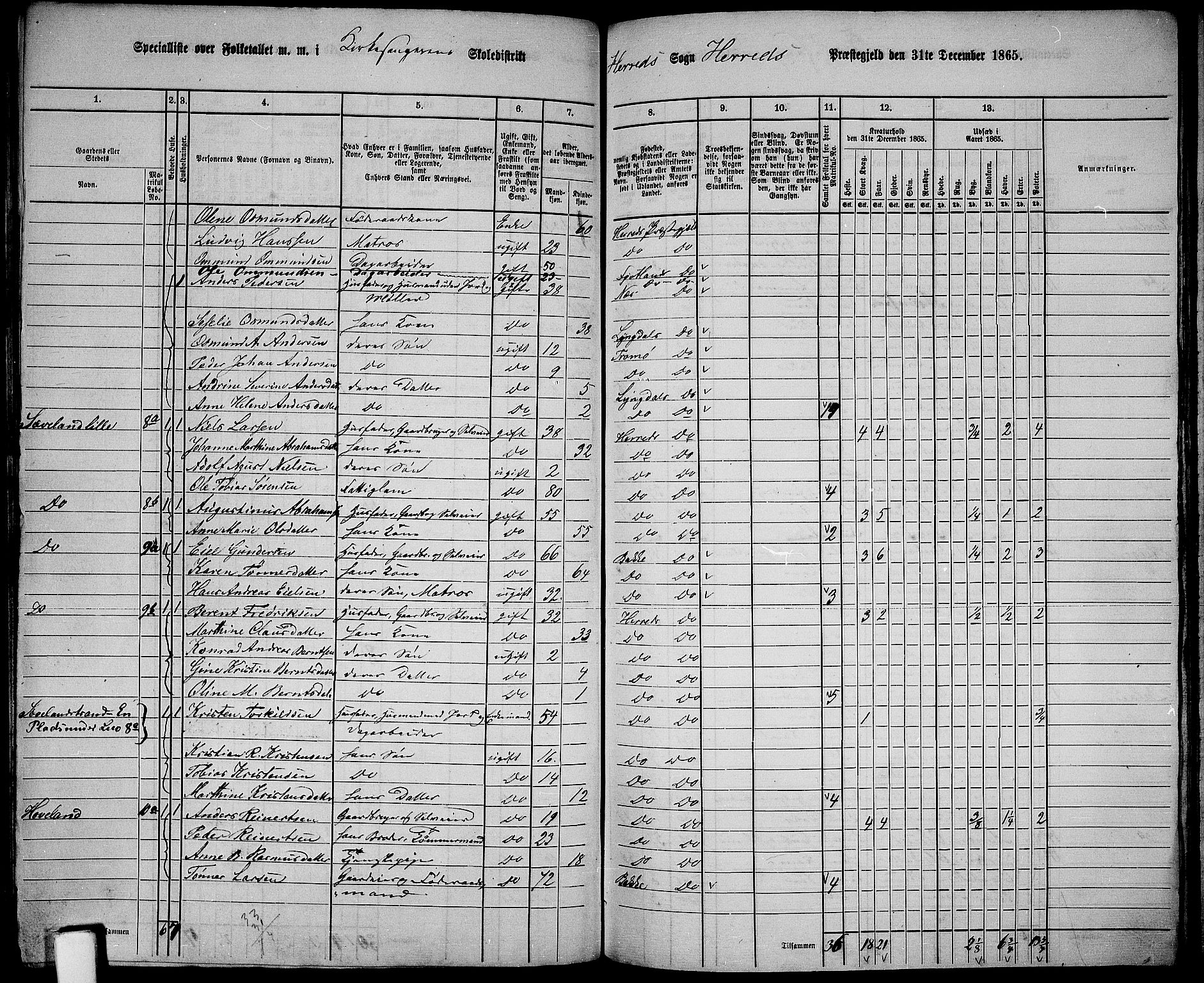 RA, 1865 census for Herad, 1865, p. 11