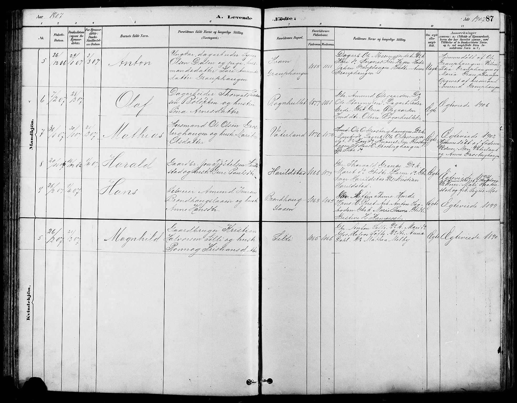 Nord-Fron prestekontor, SAH/PREST-080/H/Ha/Hab/L0005: Parish register (copy) no. 5, 1884-1914, p. 87