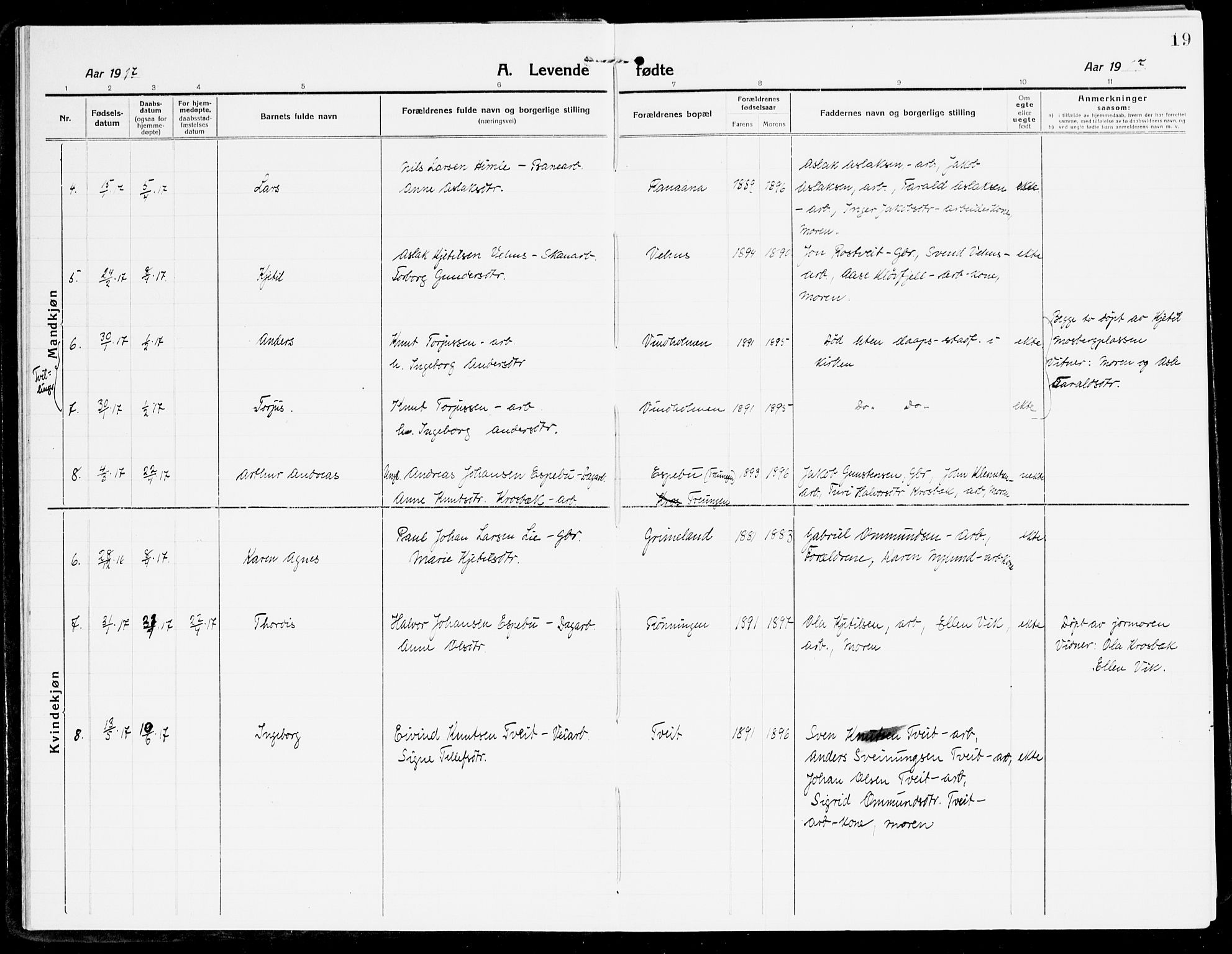 Åmli sokneprestkontor, AV/SAK-1111-0050/F/Fa/Fac/L0013: Parish register (official) no. A 13, 1914-1933, p. 19