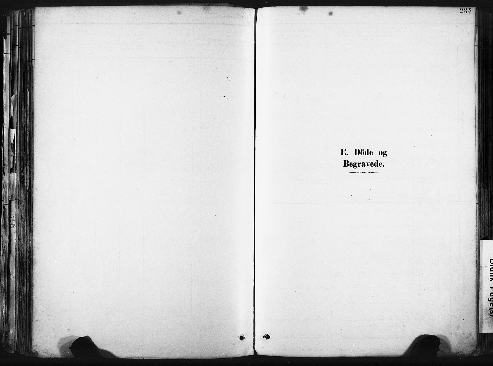 Sund sokneprestembete, SAB/A-99930: Parish register (official) no. B 1, 1882-1907, p. 234
