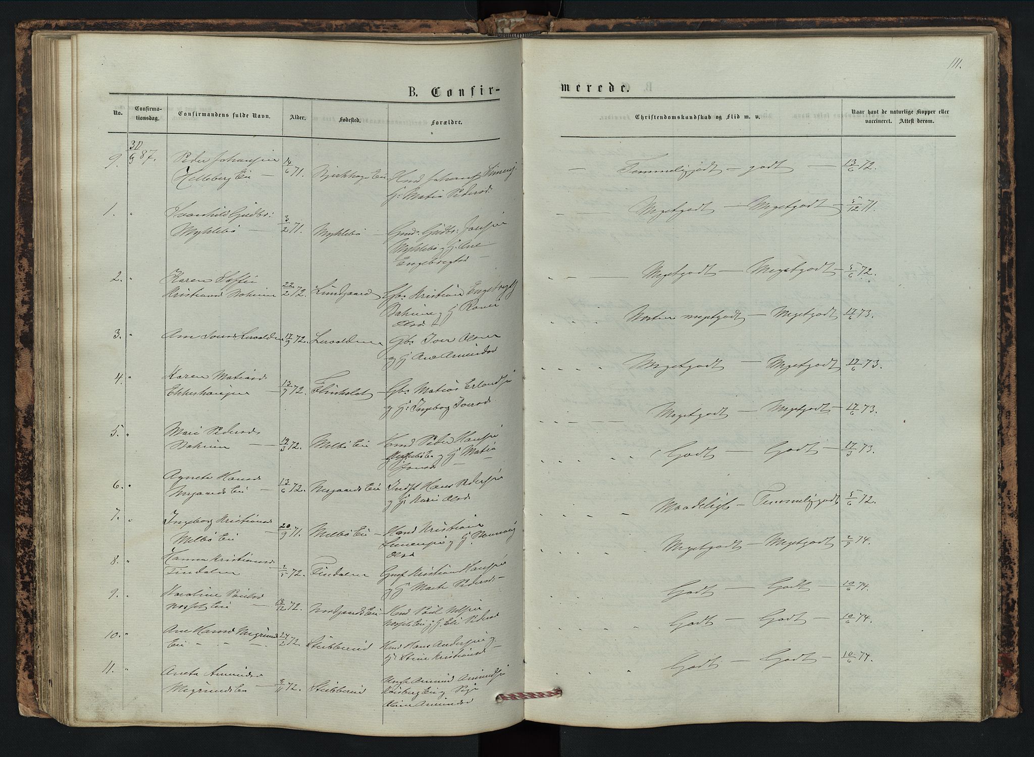 Vestre Gausdal prestekontor, SAH/PREST-094/H/Ha/Hab/L0002: Parish register (copy) no. 2, 1874-1897, p. 111