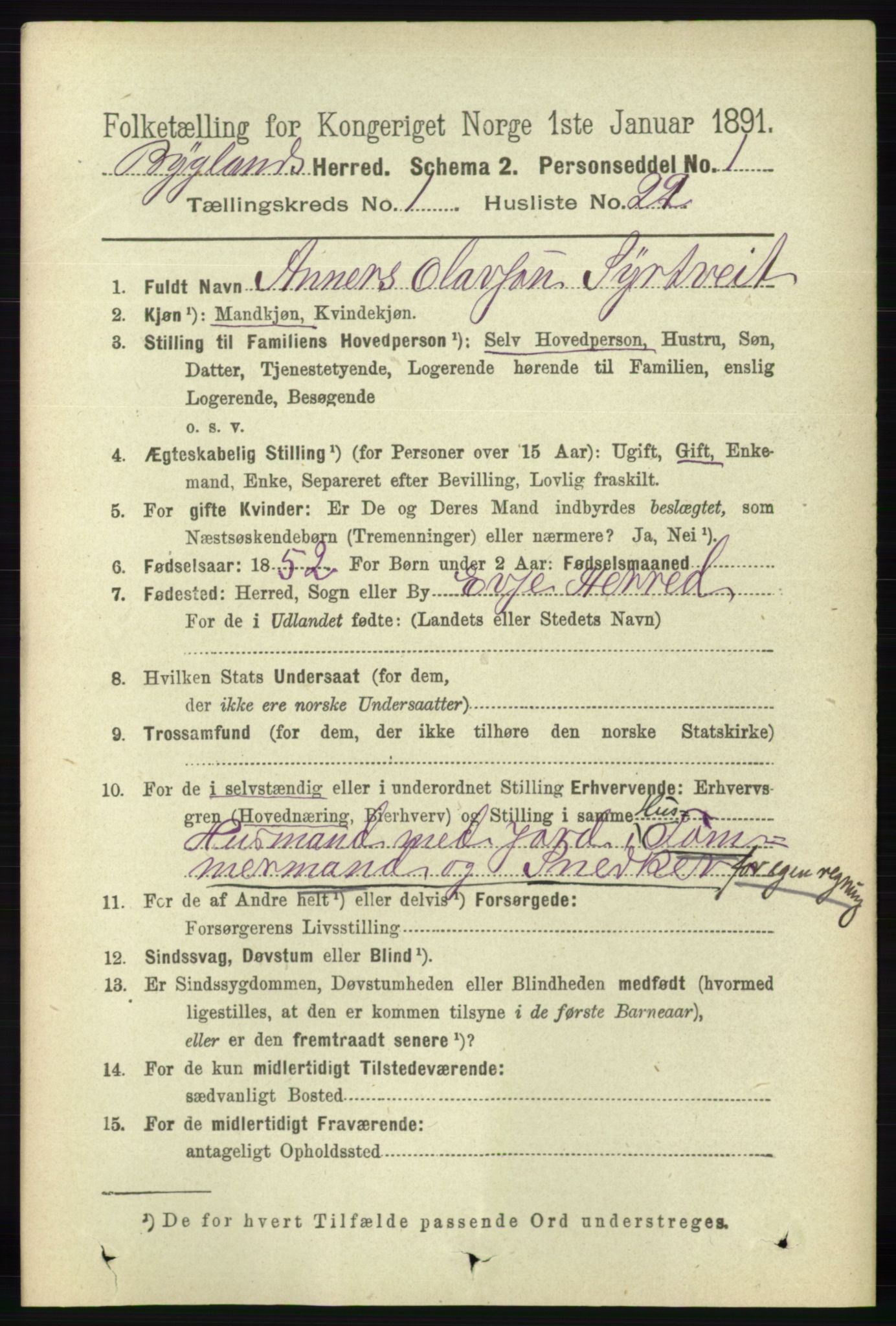 RA, 1891 census for 0938 Bygland, 1891, p. 205