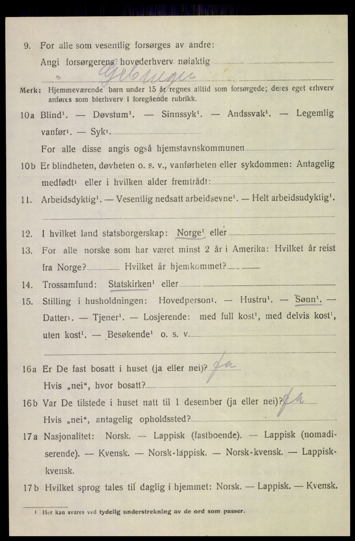 SAT, 1920 census for Bodin, 1920, p. 12553