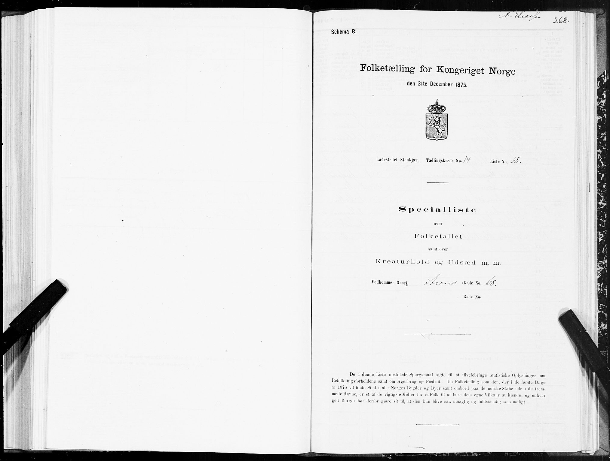 SAT, 1875 census for 1702B Steinkjer/Steinkjer, 1875, p. 268