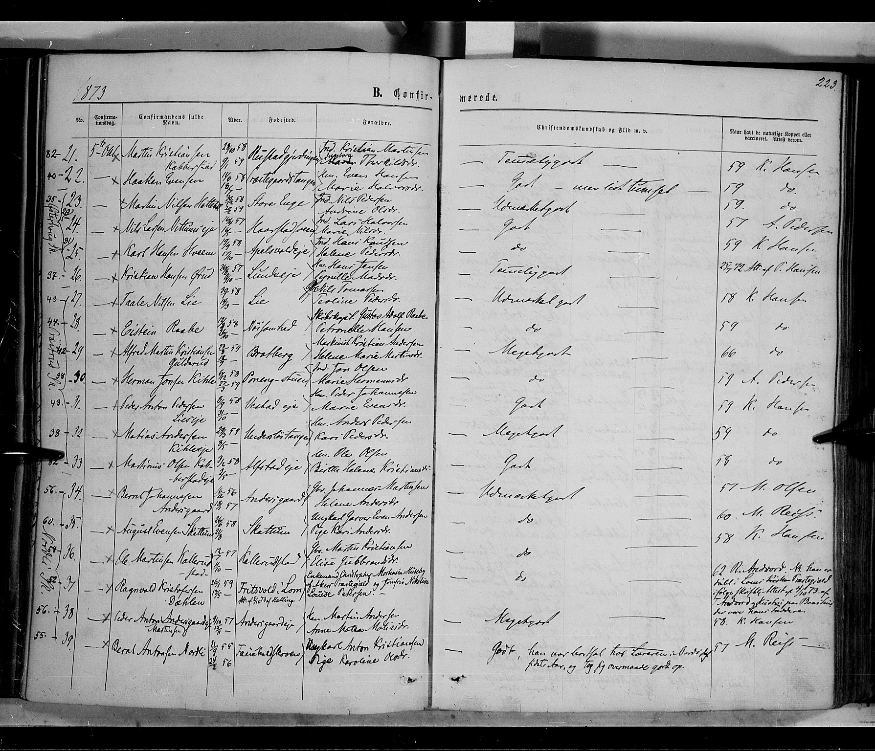 Østre Toten prestekontor, AV/SAH-PREST-104/H/Ha/Haa/L0005: Parish register (official) no. 5, 1866-1877, p. 223