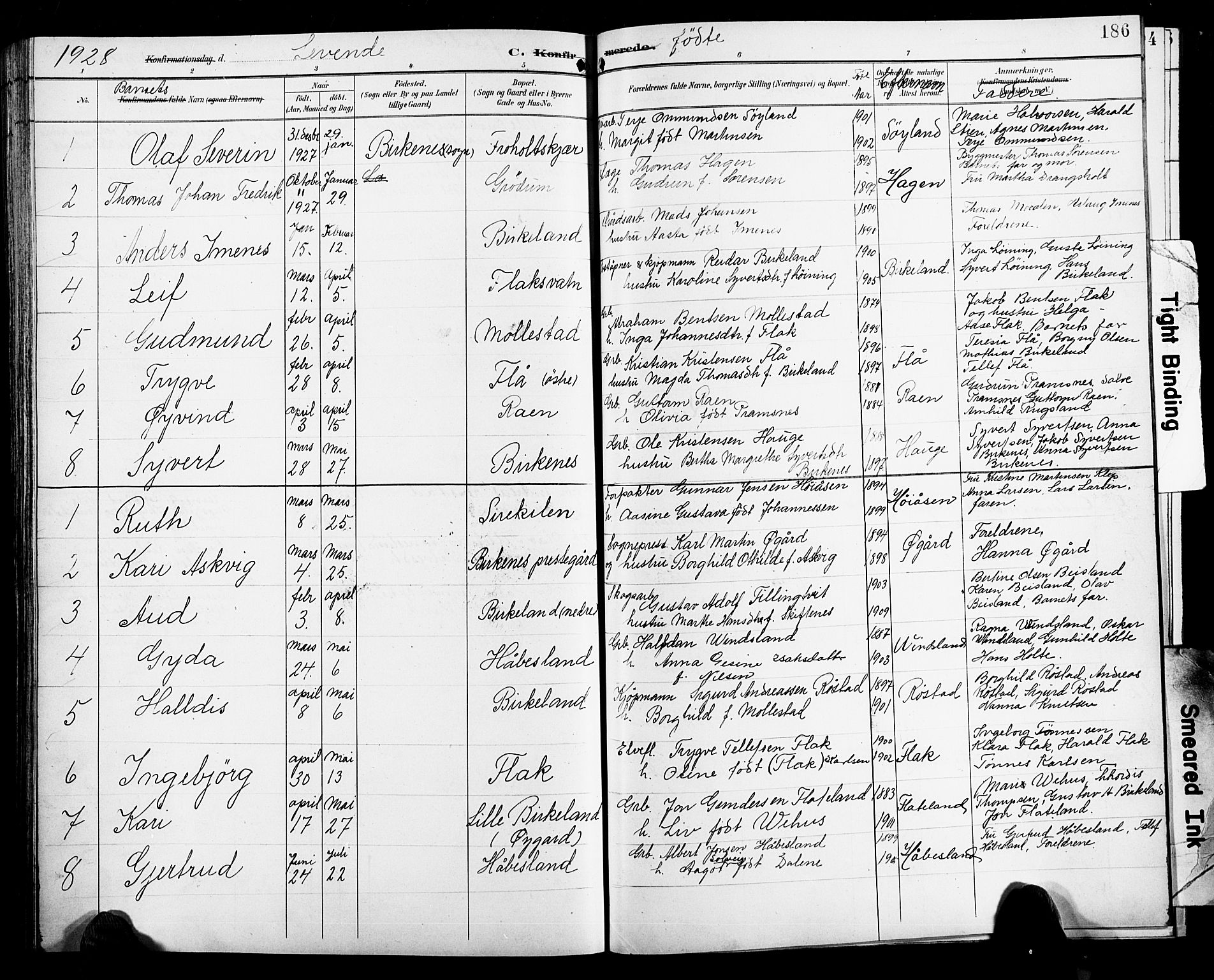 Birkenes sokneprestkontor, SAK/1111-0004/F/Fb/L0004: Parish register (copy) no. B 4, 1893-1930, p. 186