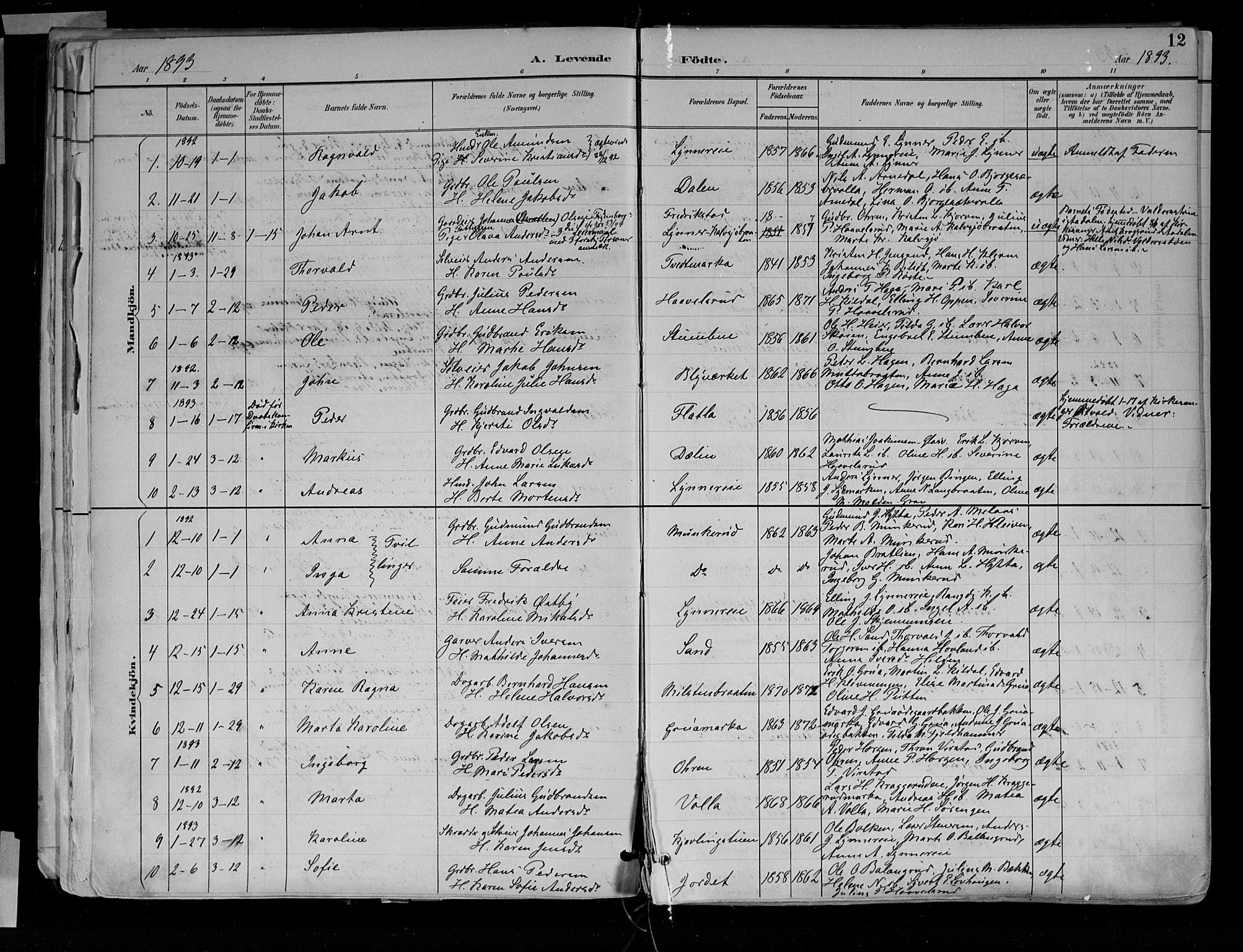 Jevnaker prestekontor, SAH/PREST-116/H/Ha/Haa/L0010: Parish register (official) no. 10, 1891-1906, p. 12