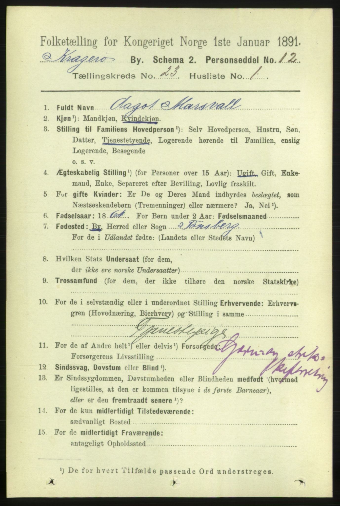 RA, 1891 census for 0801 Kragerø, 1891, p. 4889