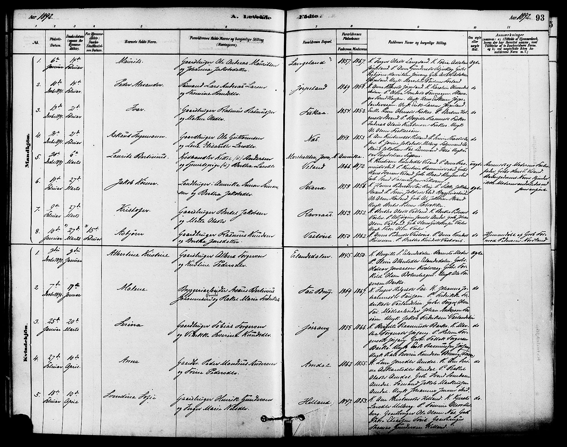 Strand sokneprestkontor, SAST/A-101828/H/Ha/Haa/L0009: Parish register (official) no. A 9, 1877-1908, p. 93